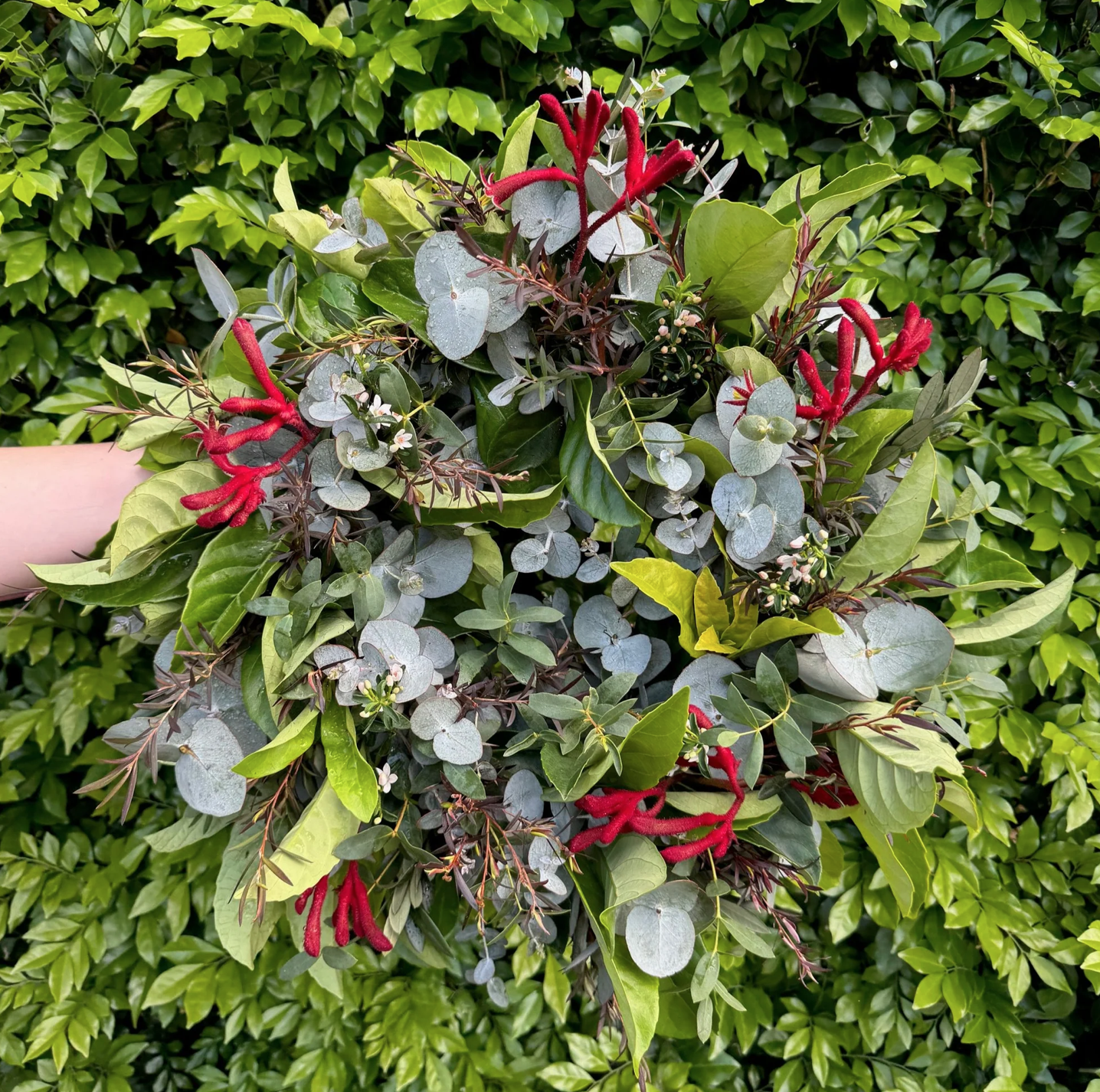 Screenshot 2026-03-05 at 4.42.19 PM.png