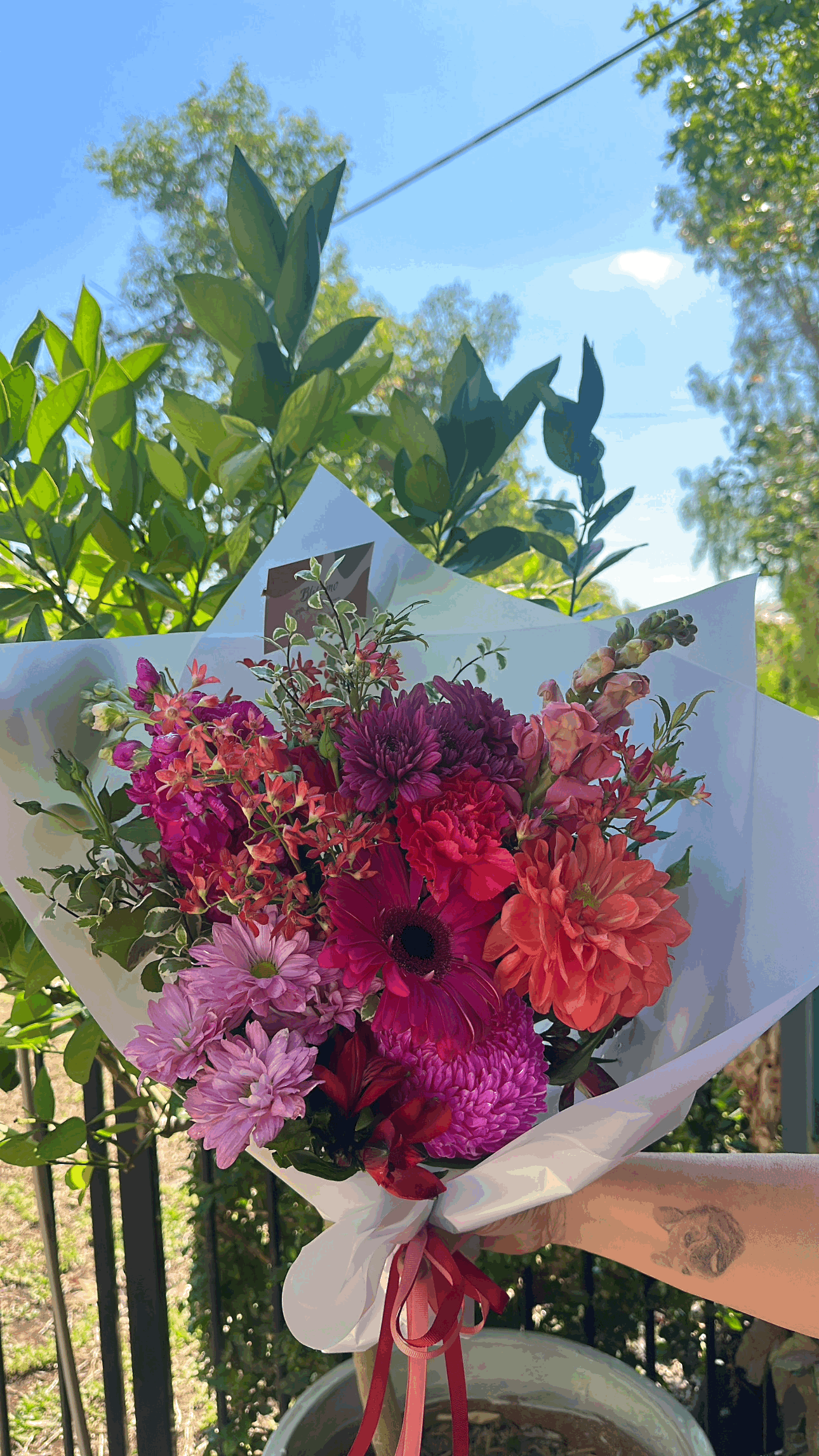 Bouquet of the Week - Spring Edition 🍓