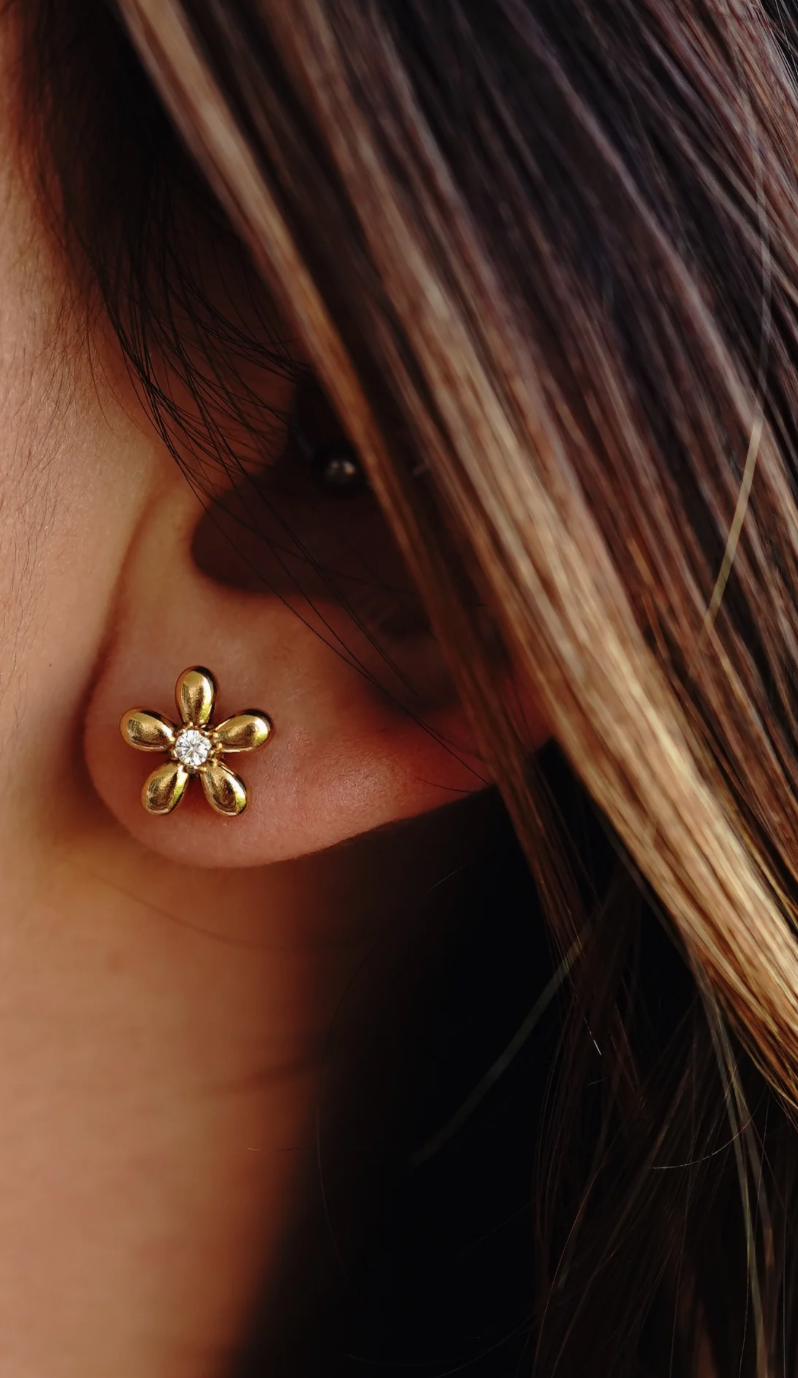 Screenshot 2026-04-13 at 10.04.29 AM.png