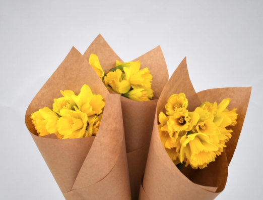 DAFFODIL DAY - Daffodil Bunches