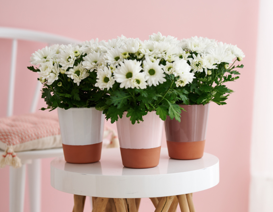 Screenshot 2026-03-26 at 5.26.40 PM.png