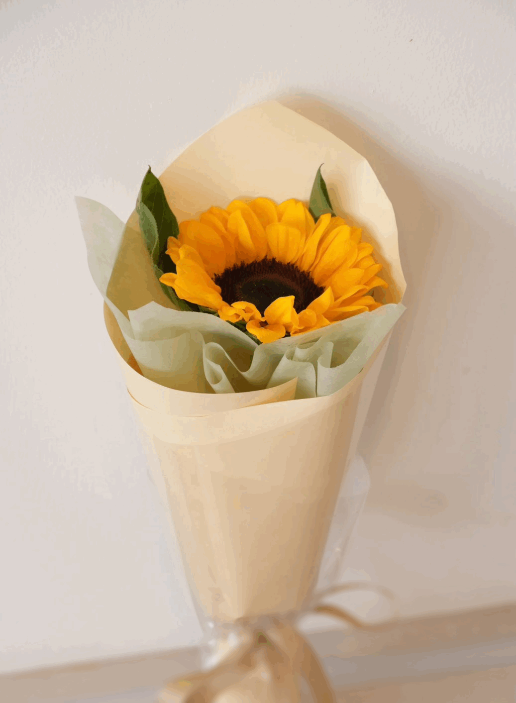 R U OK? Day - Sunflowers With a Purpose 🌻