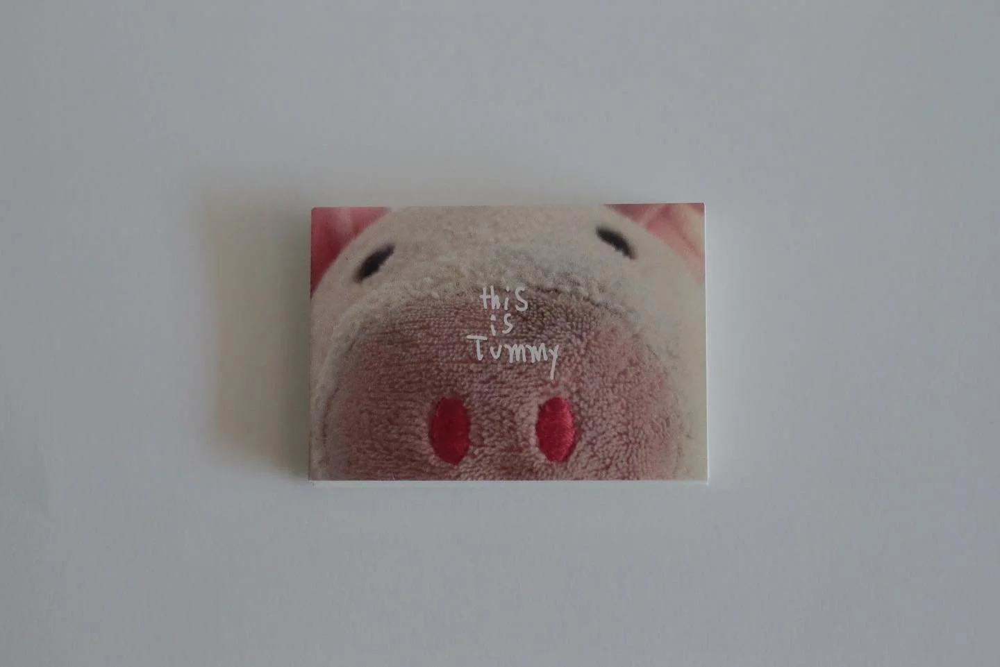 This is Tummy📖

This little fold-out book presents a drawing by 8-year-old Tuding of his stuffed animal, Tummy, plus a picture of what Tummy really looks like and a heartwarming story of their relationship.

这本折叠的小书呈现了8岁Tuding为他的毛绒玩具Tummy画的一幅画，另外还有T