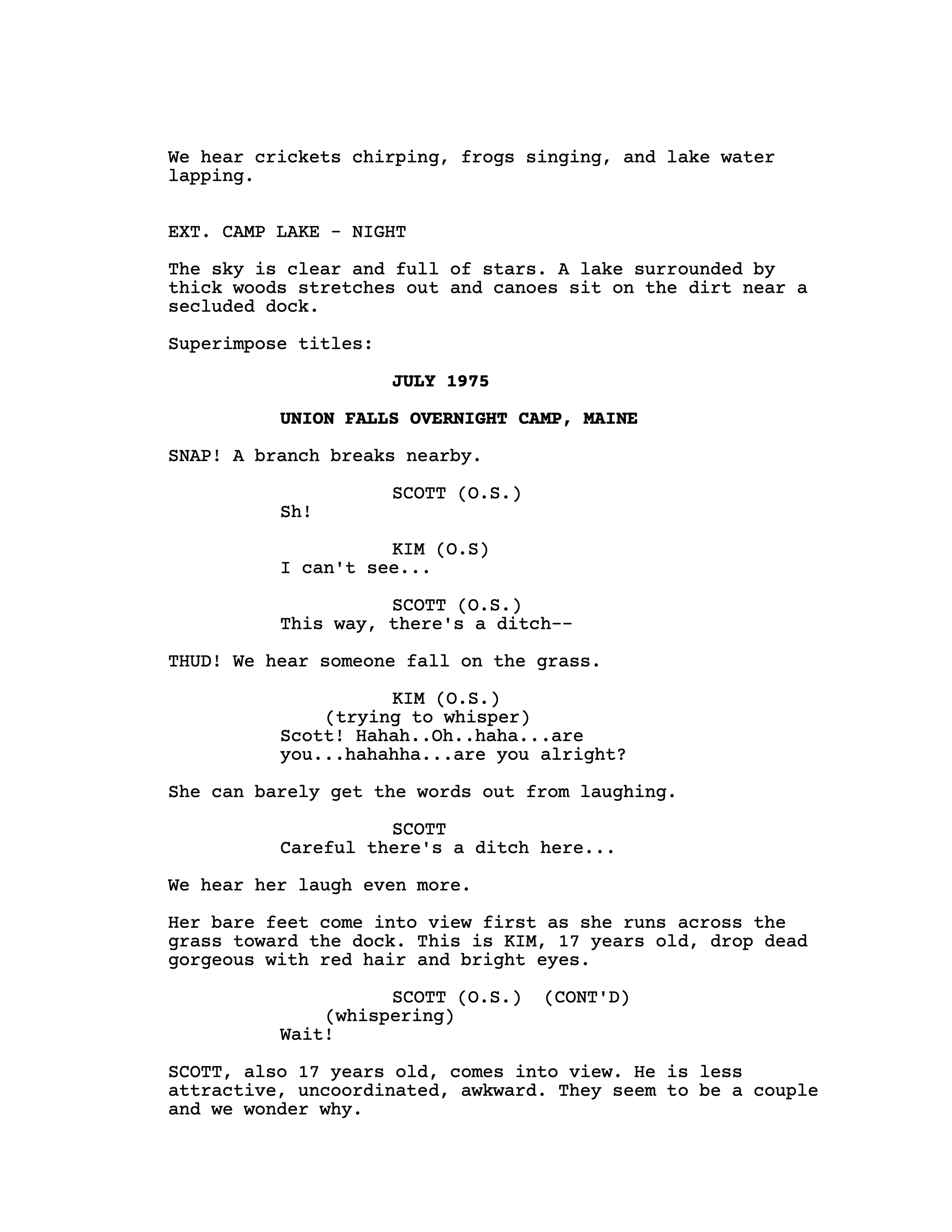 A screenplay or script page describing a nighttime scene at a camp lake.