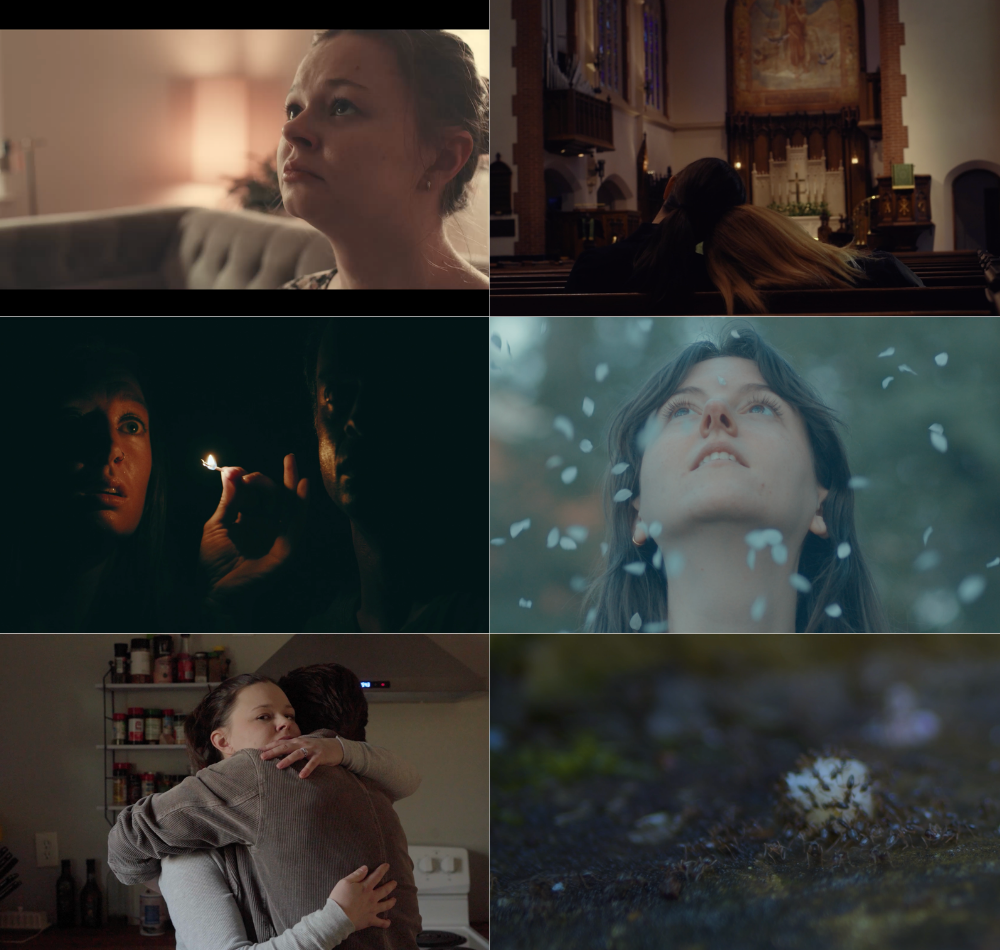 Six scenes from a film or television show: a young woman sitting on a sofa, two people hugging in a church, a woman with a sparkler in a dark room, a young woman looking up surrounded by falling petals, two people hugging in a kitchen, and a close-up of a small mossy object on the ground.