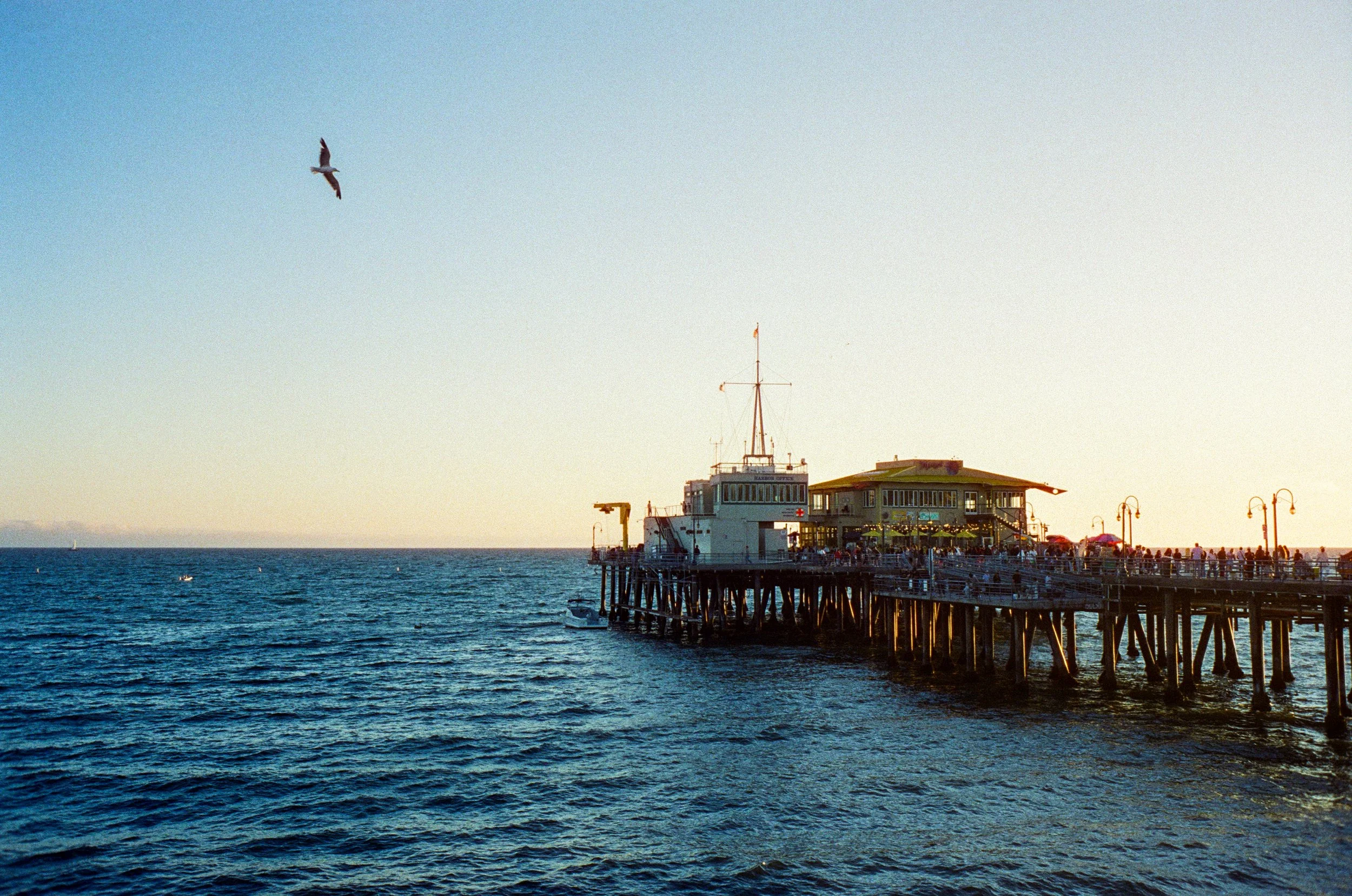Cali Post-12.jpg