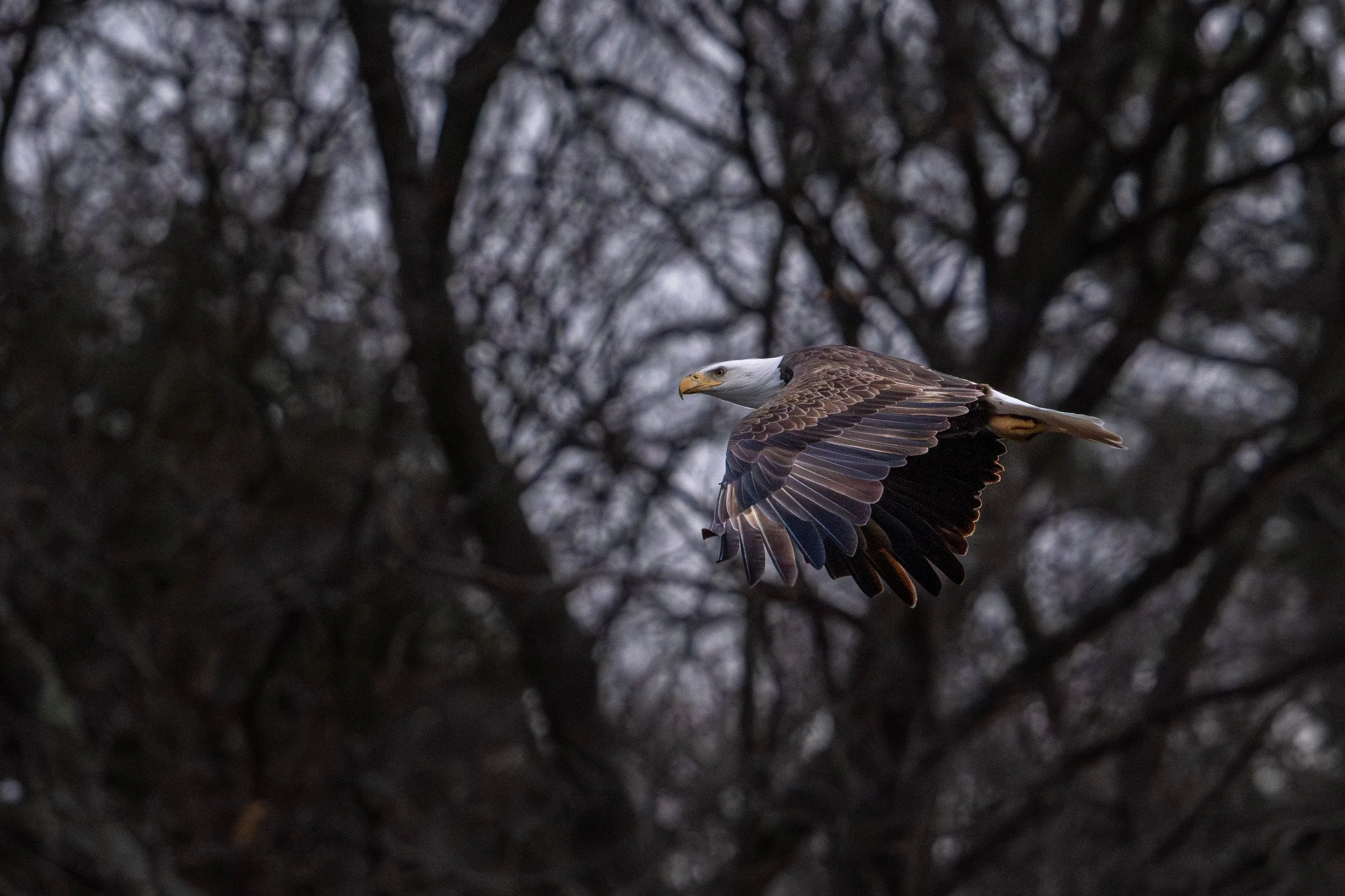 porto (1 of 1)-3.jpg