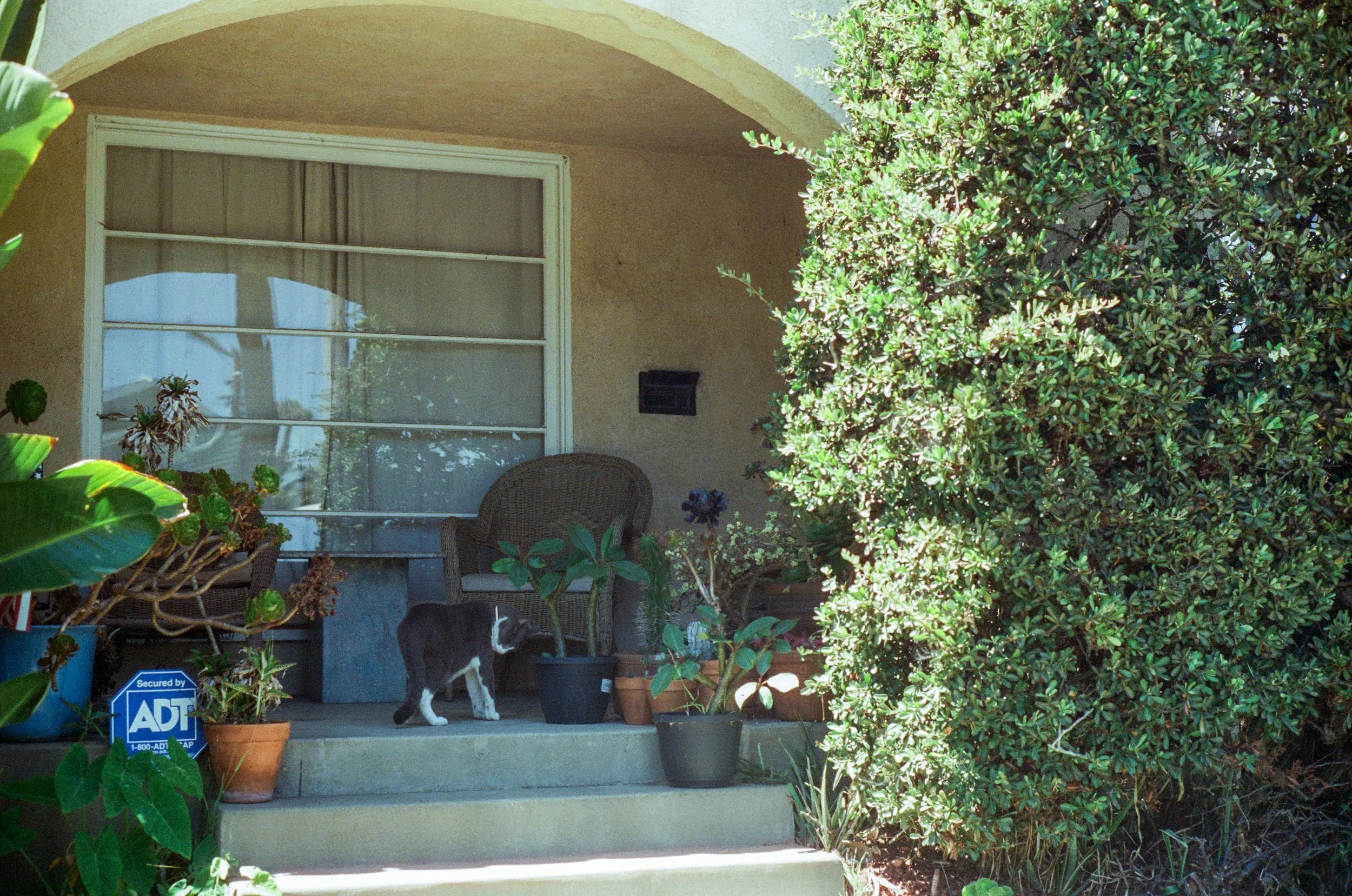 Cali Post-5.jpg