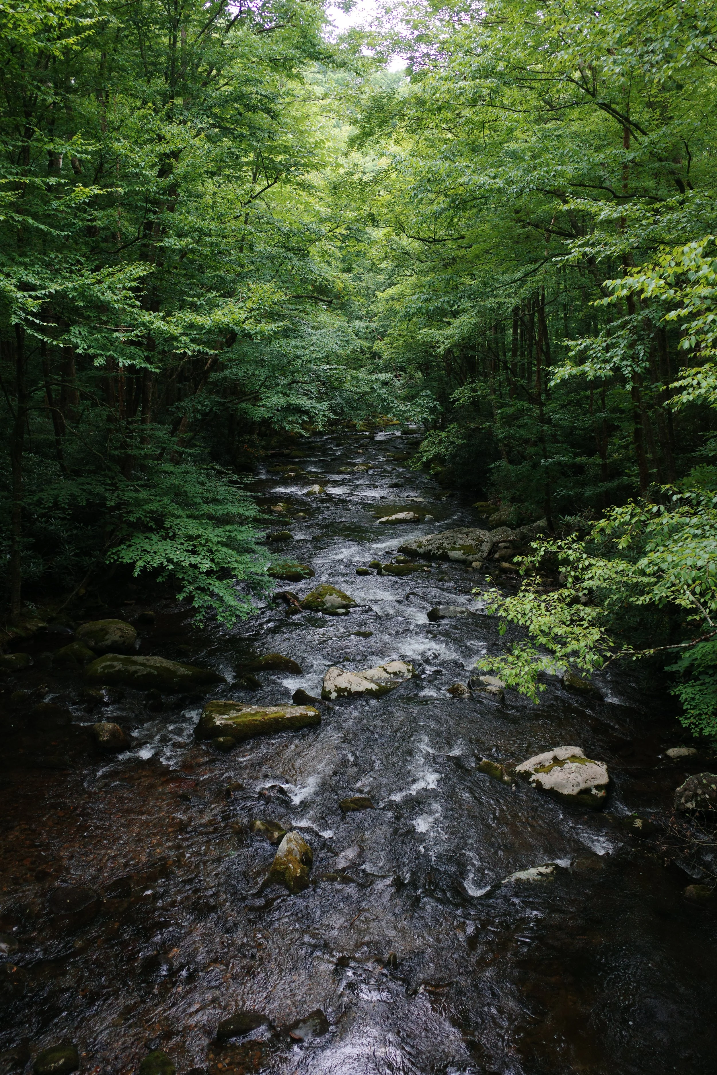 R0001700.JPG