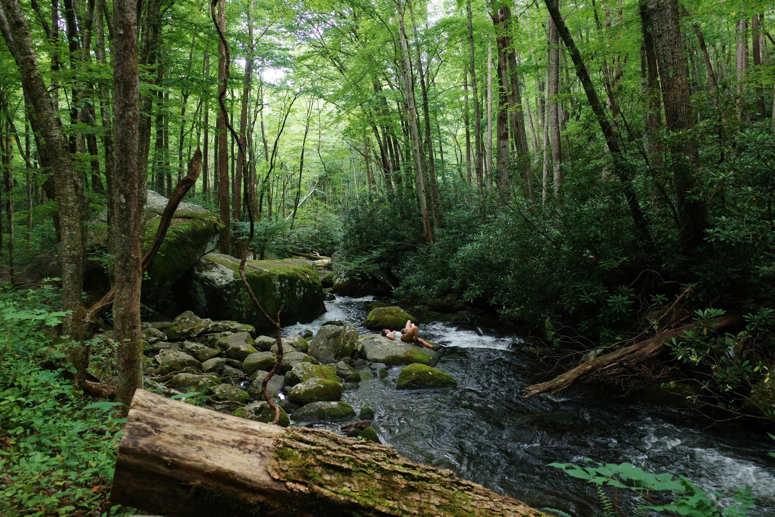 R0001646.JPG