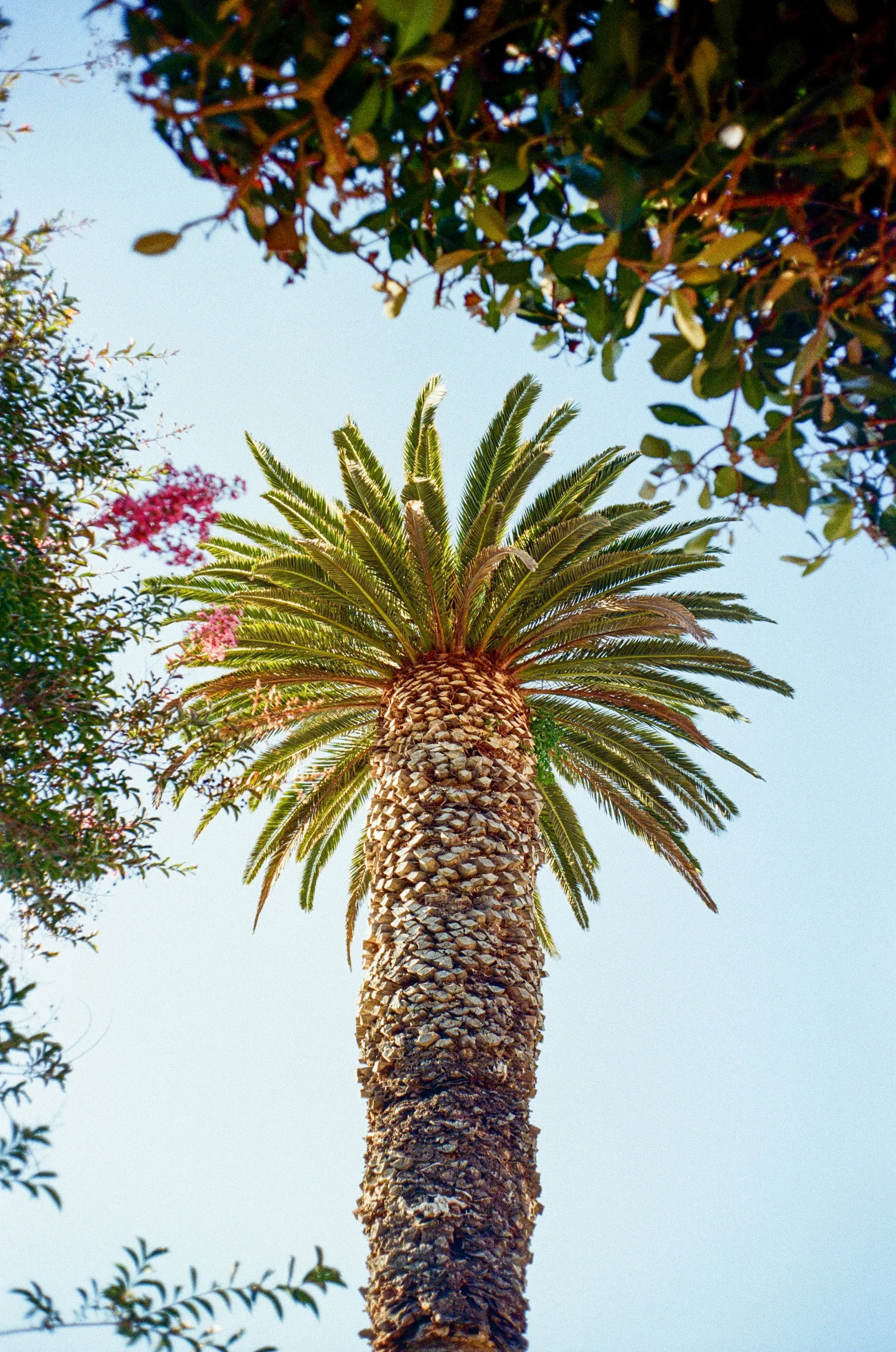 Cali Post-18.jpg