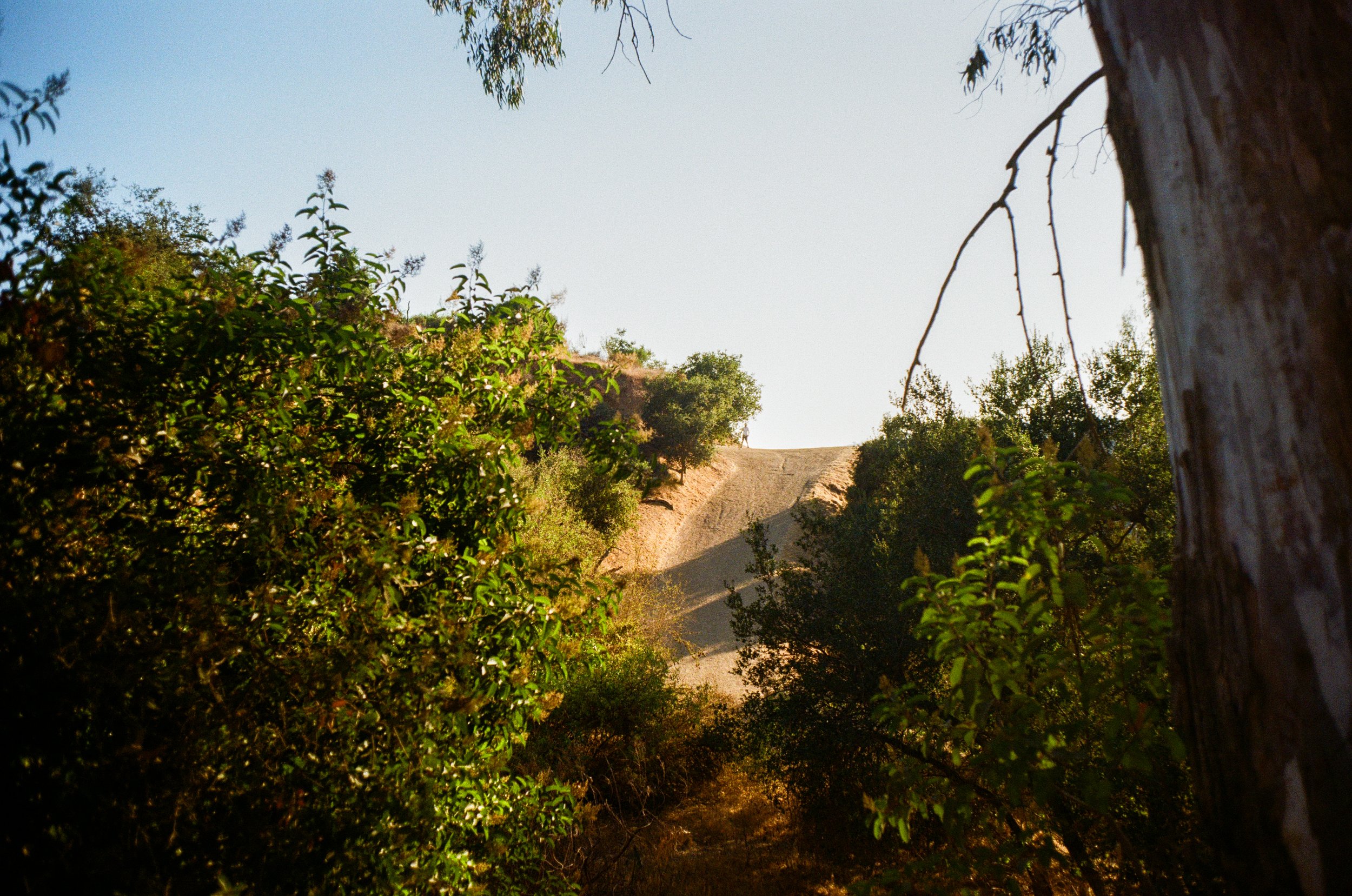 Cali Post-36.jpg