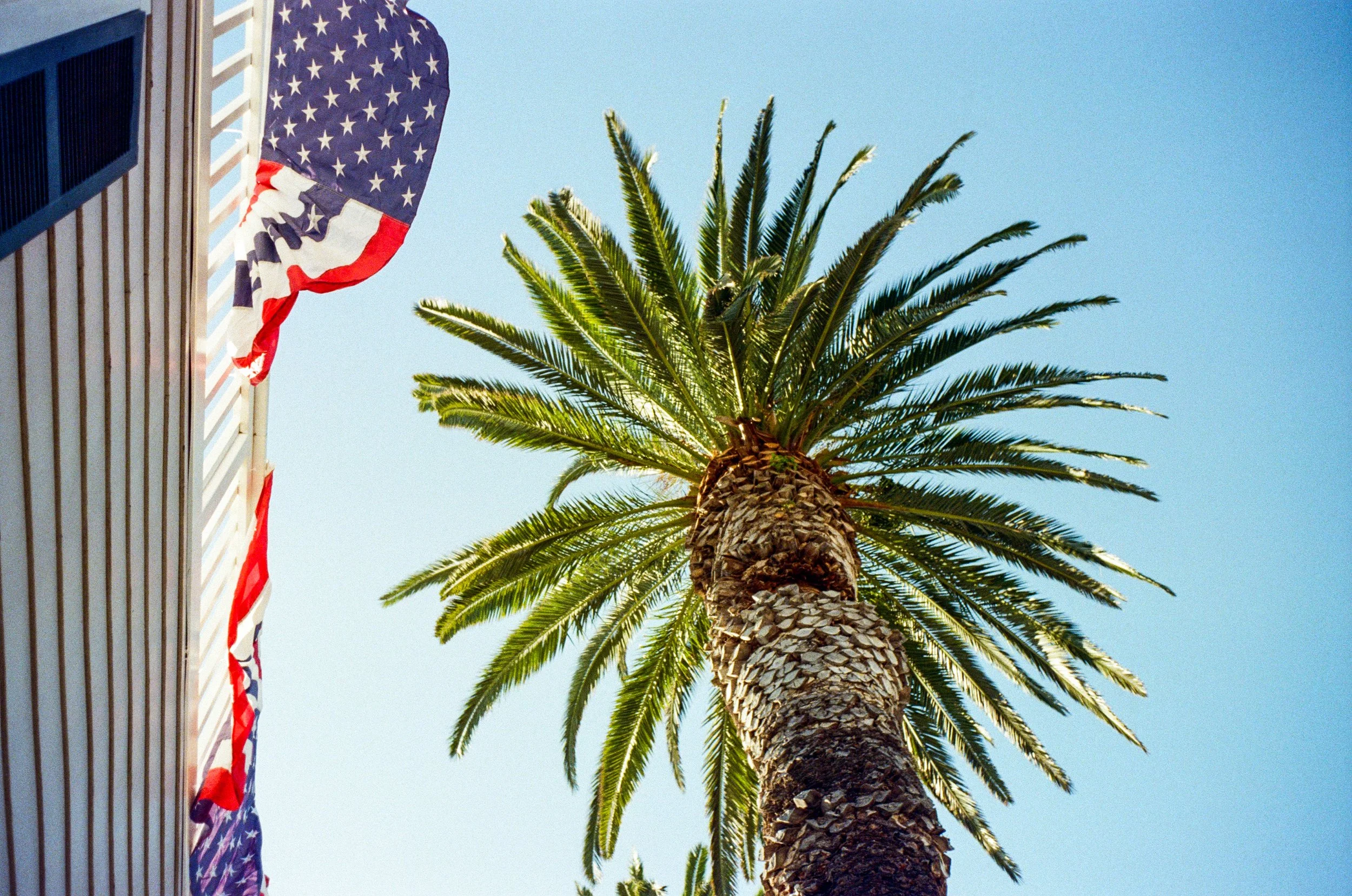 Cali Post-19.jpg