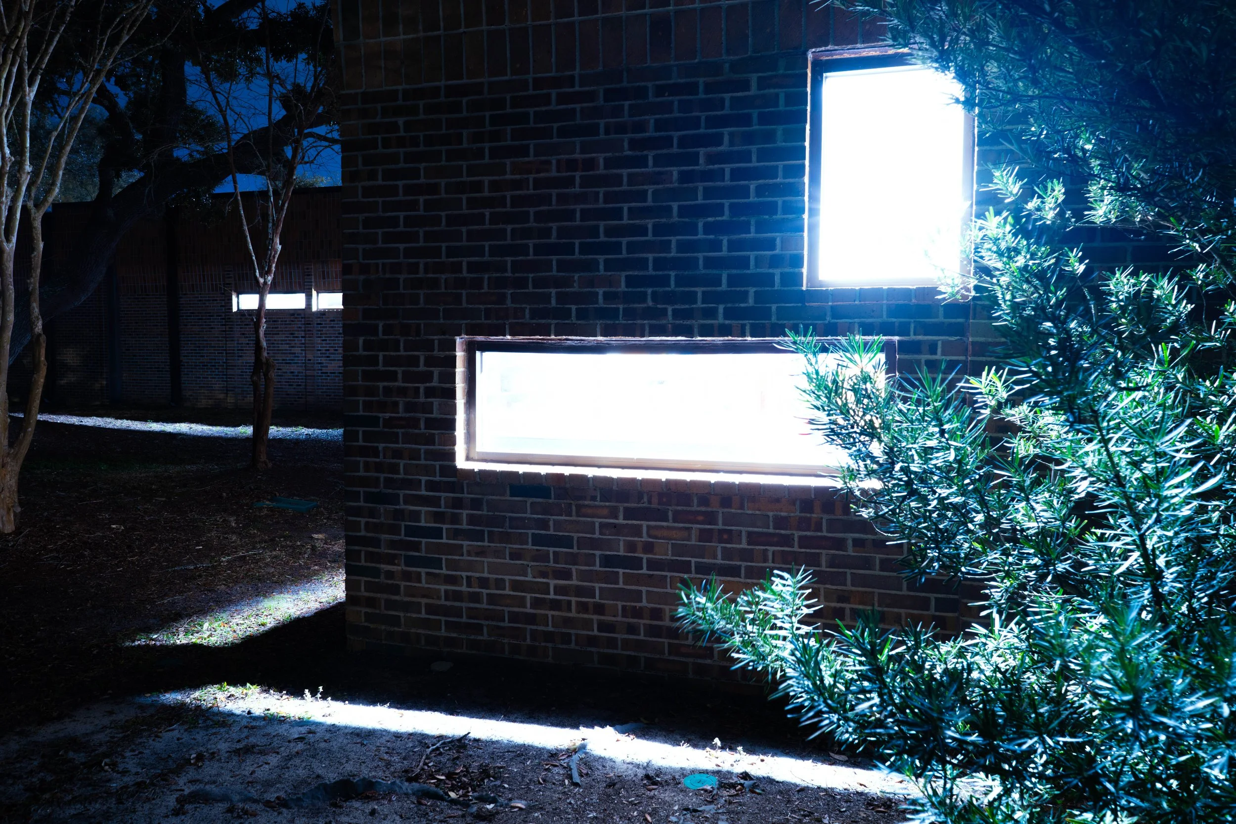 Library Windows