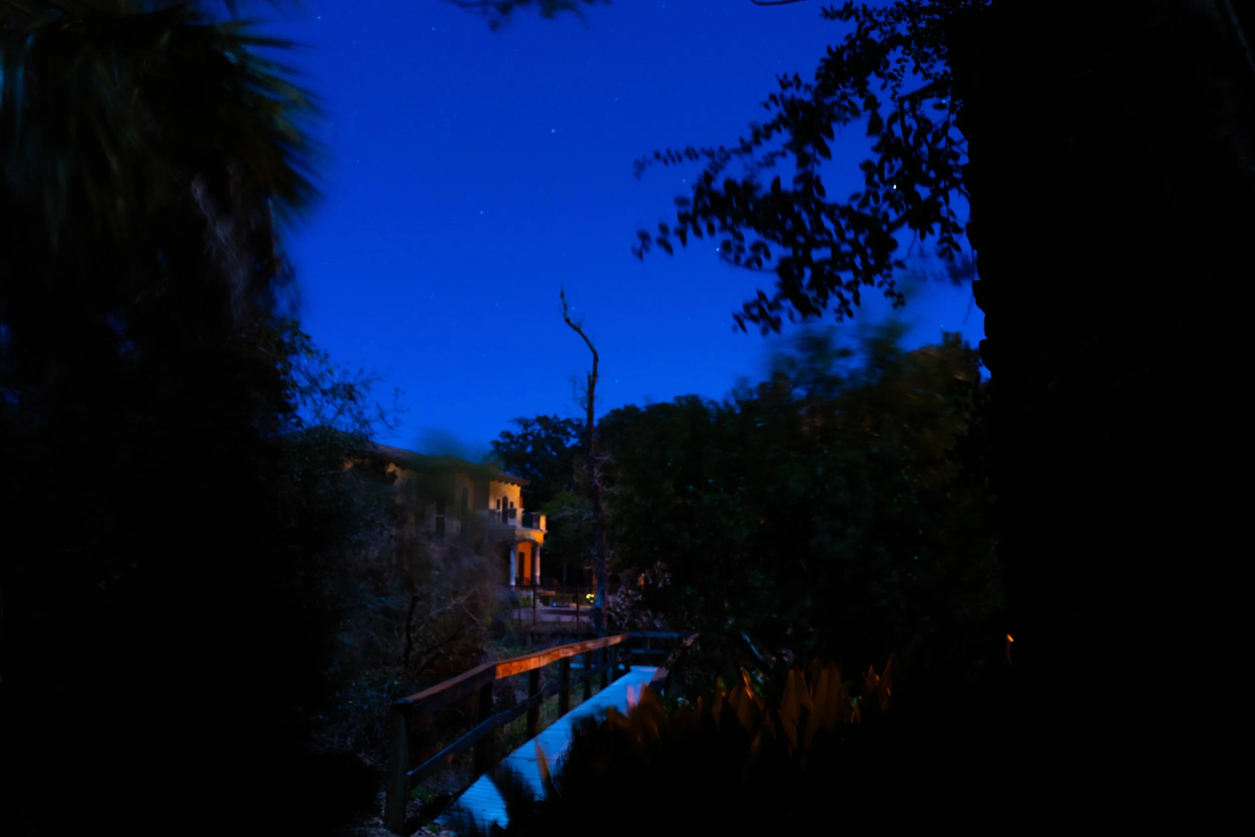 Boardwalk, Tree and Home on Bay Cliffs Circle