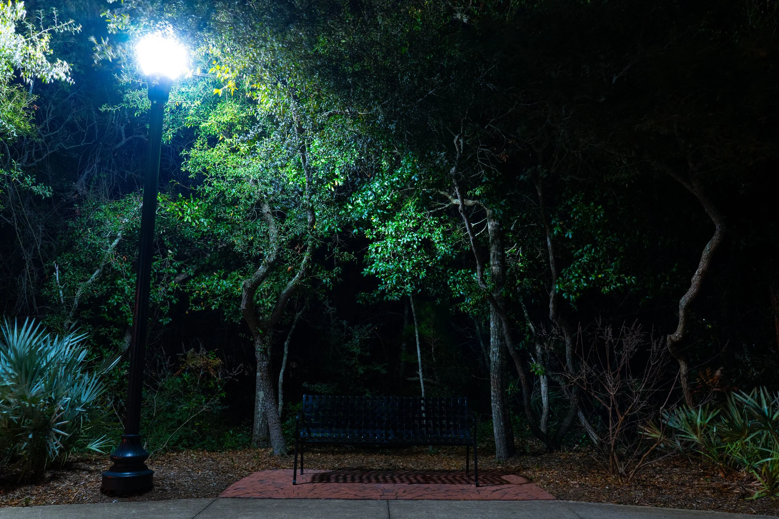 Empty Bench on Daniel Drive