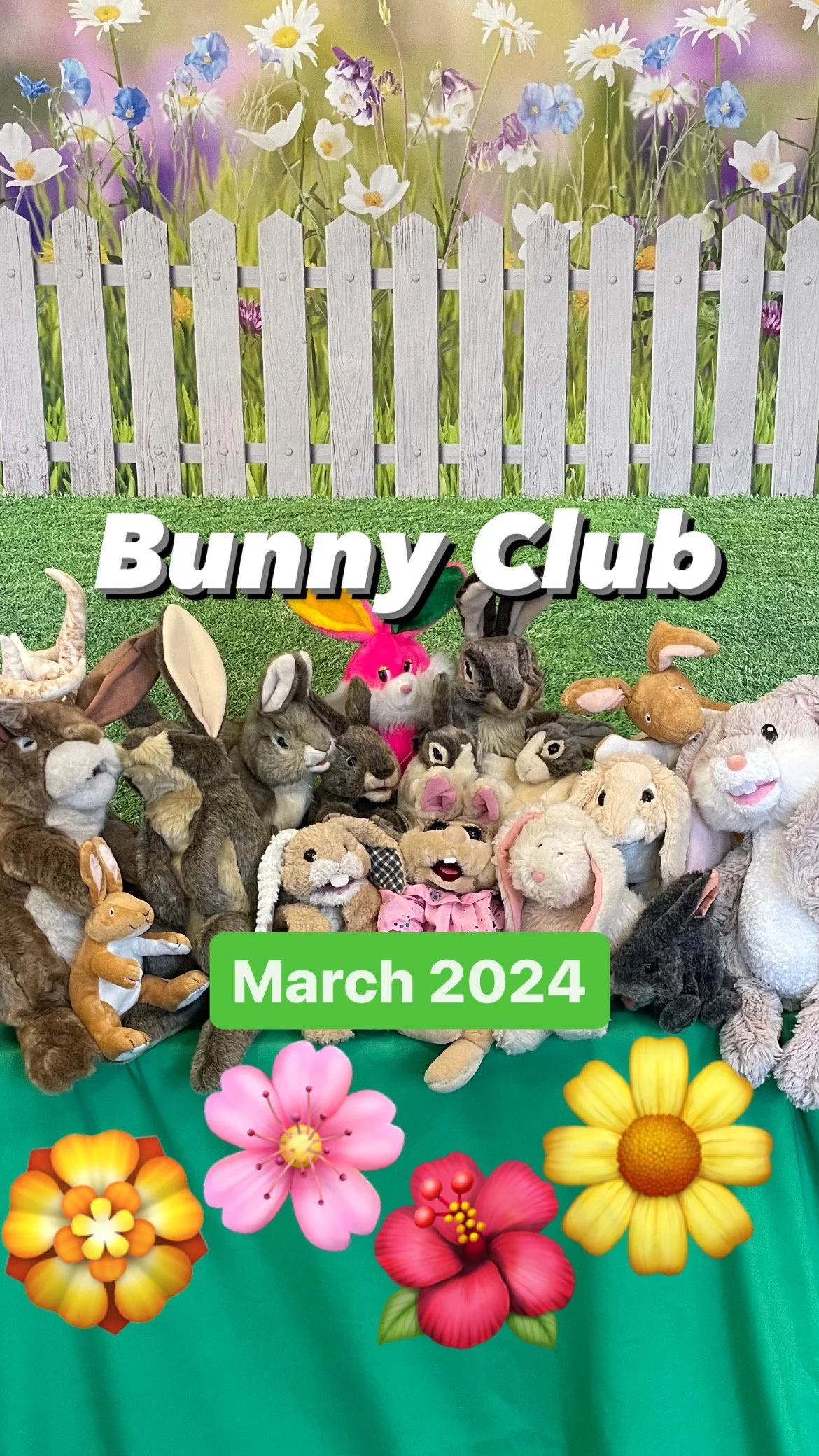 Bunny Club Show starts Friday 3-1-24