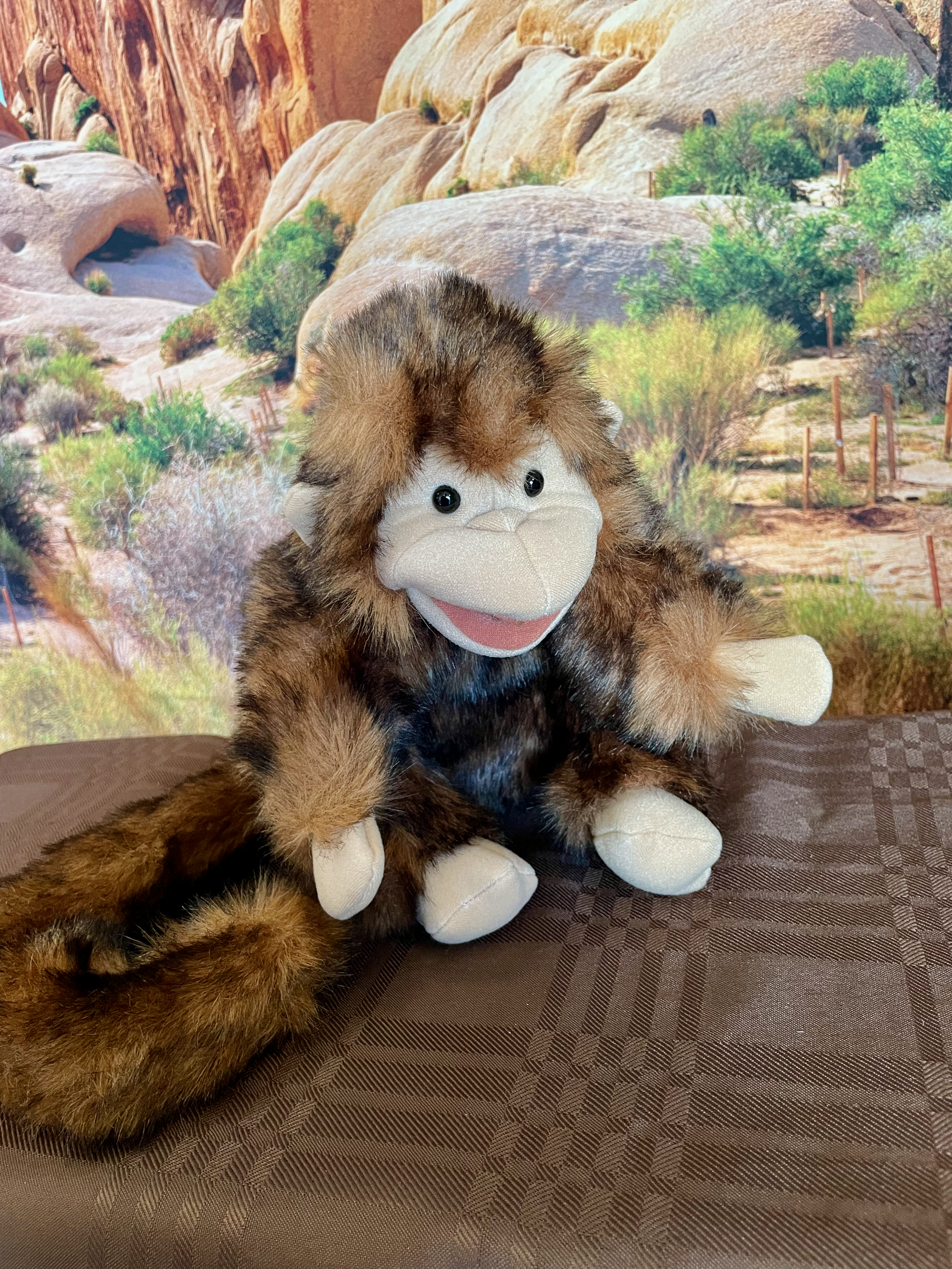 Puppet of the Day - Monkey