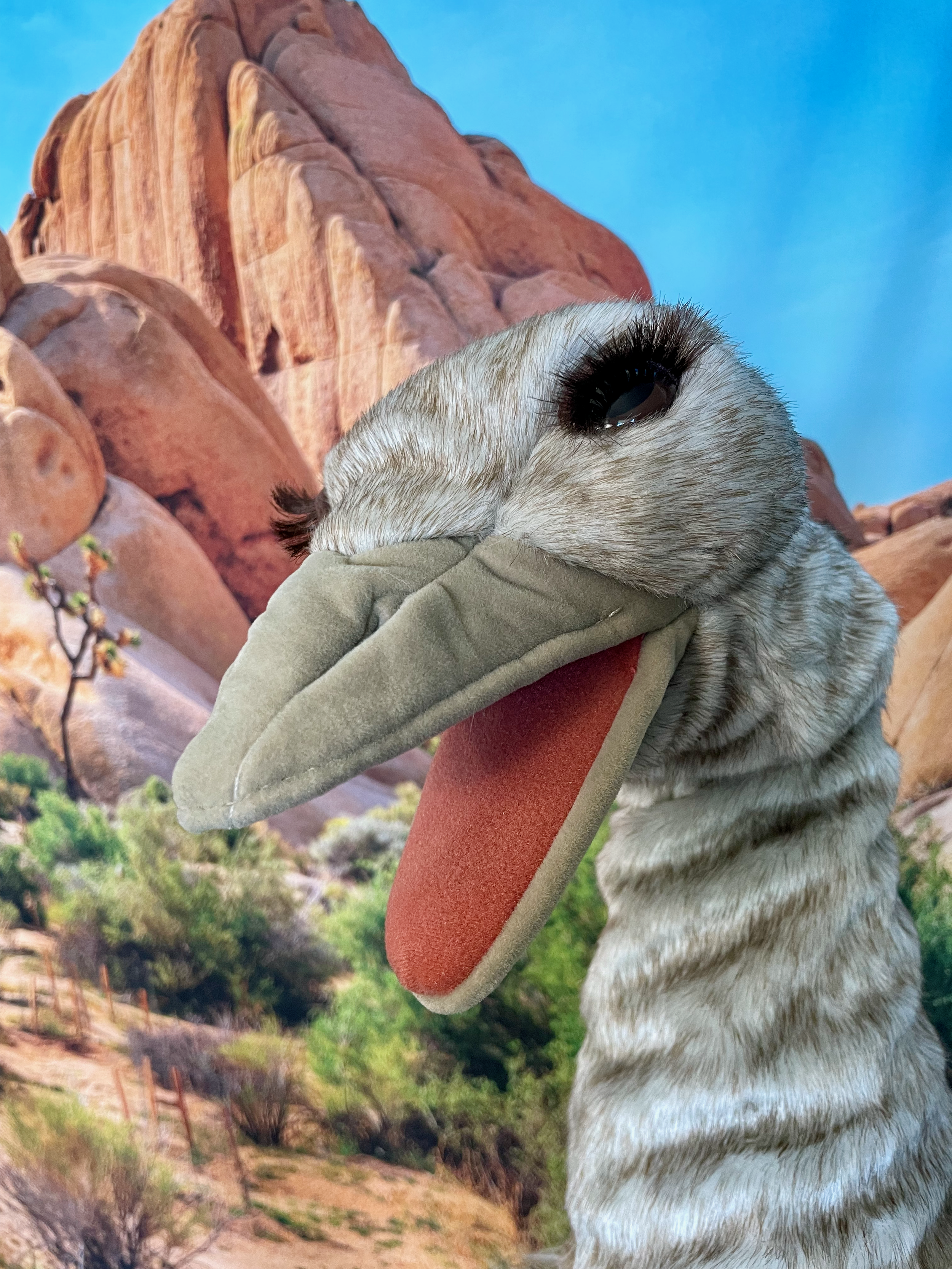 Puppet Safari #21
