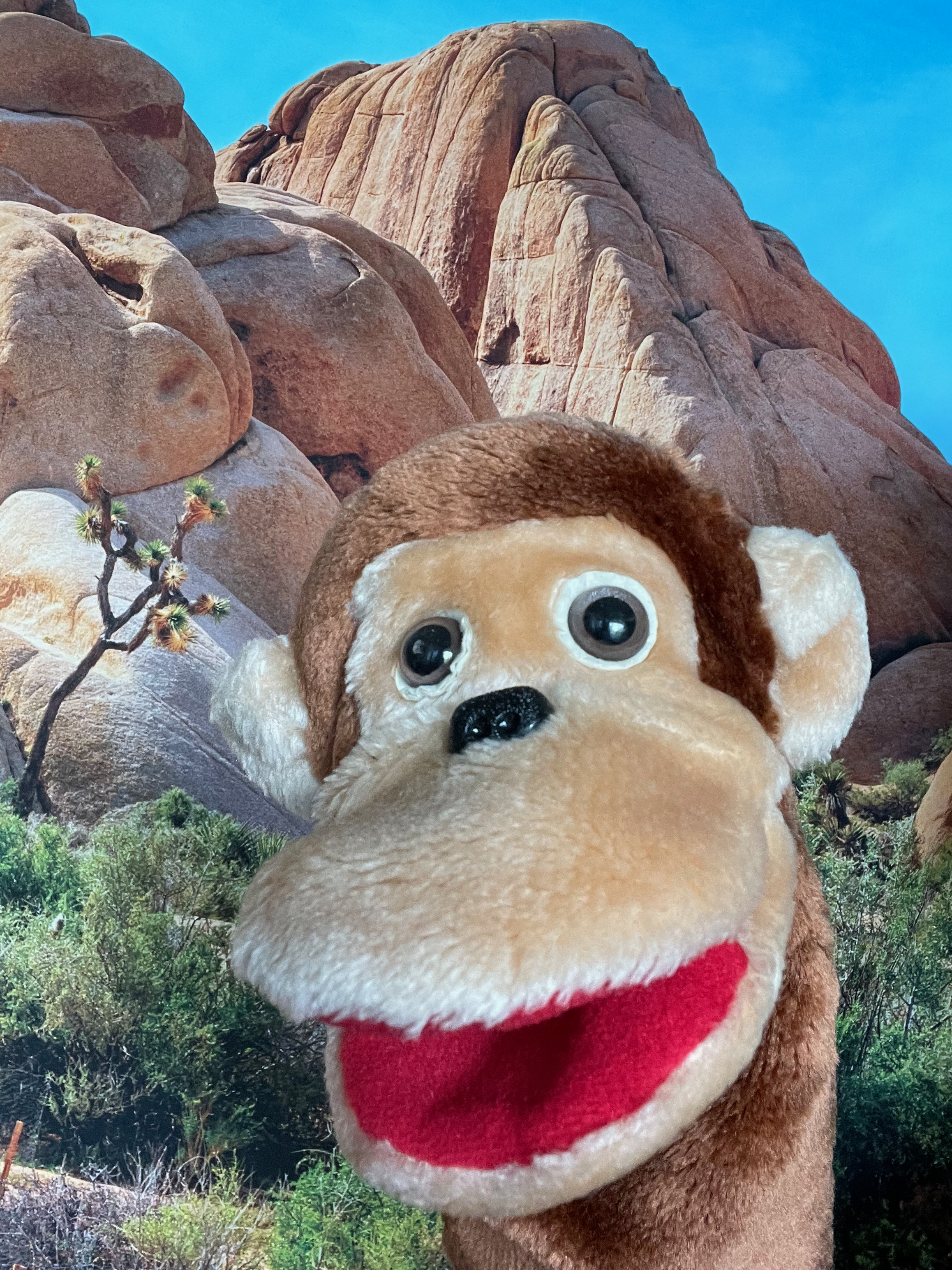 Puppet of the Day - Monkey
