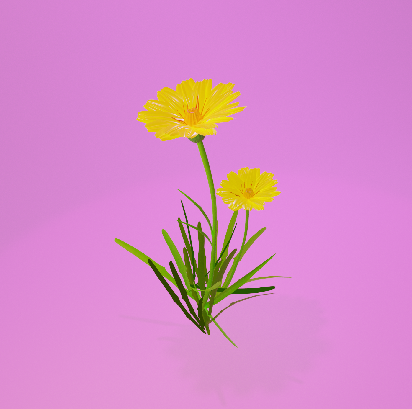 Screen Shot 2021-06-01 at 7.06.14 pm.png