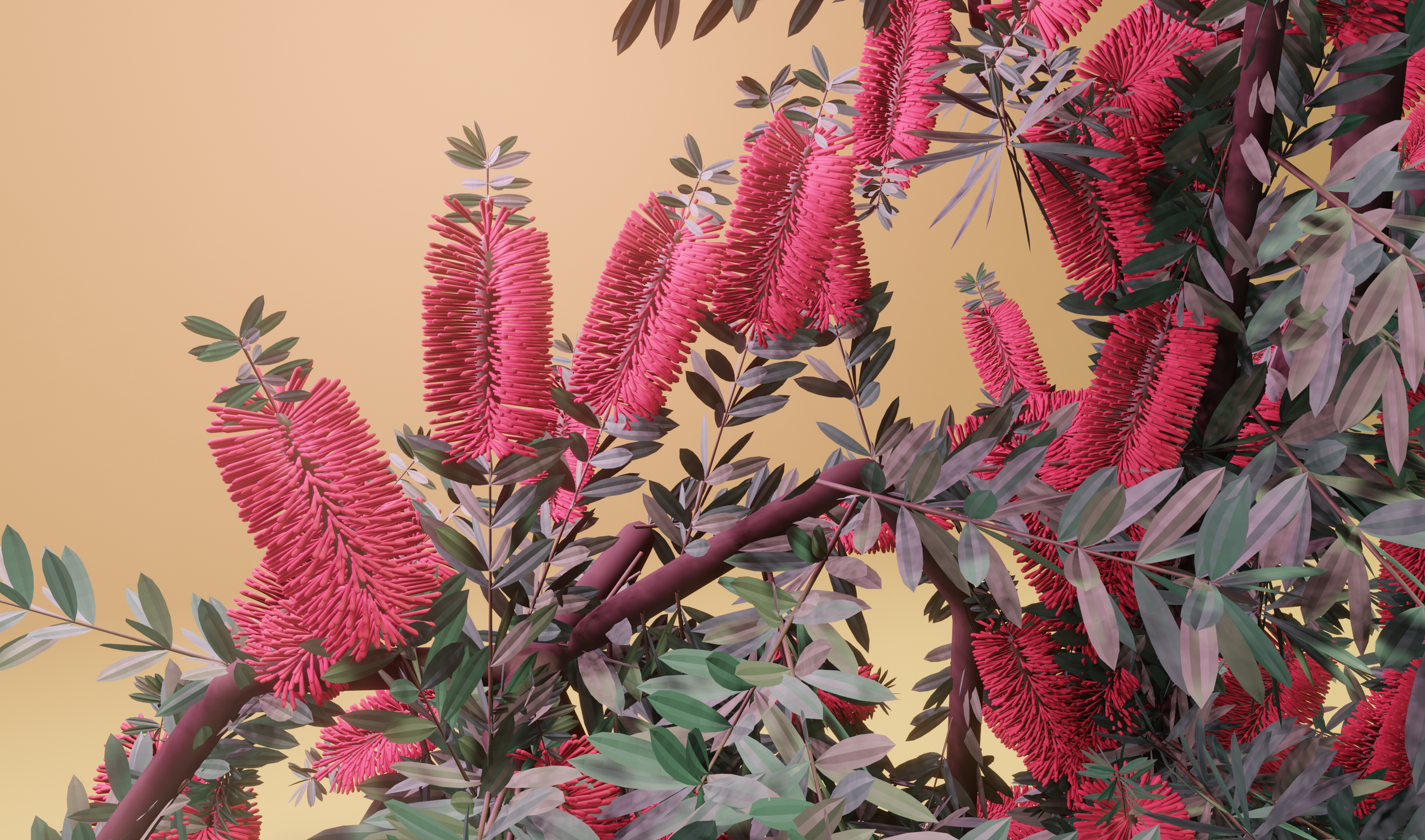 Screen Shot 2021-11-30 at 12.44.26 pm.png