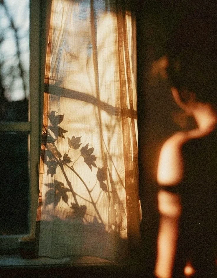 woman in soft lights