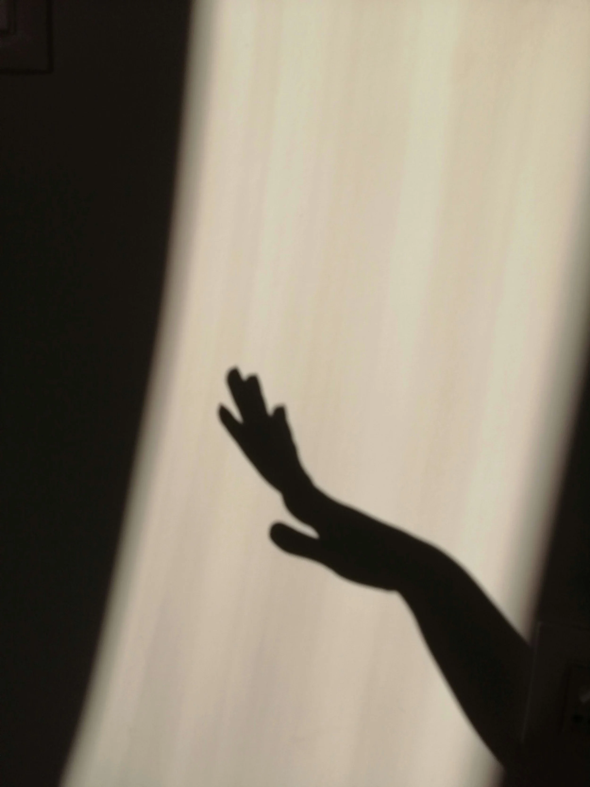 Co-Regulation Circle - February 4th