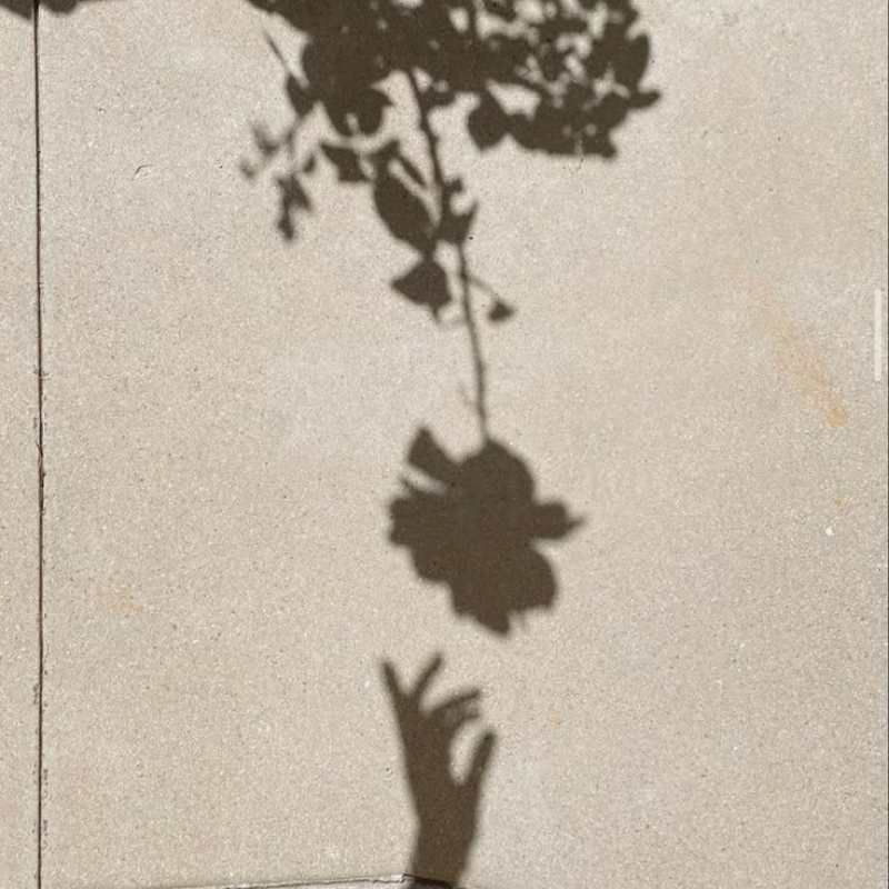 hands reaching for flowers for regulated nervous system