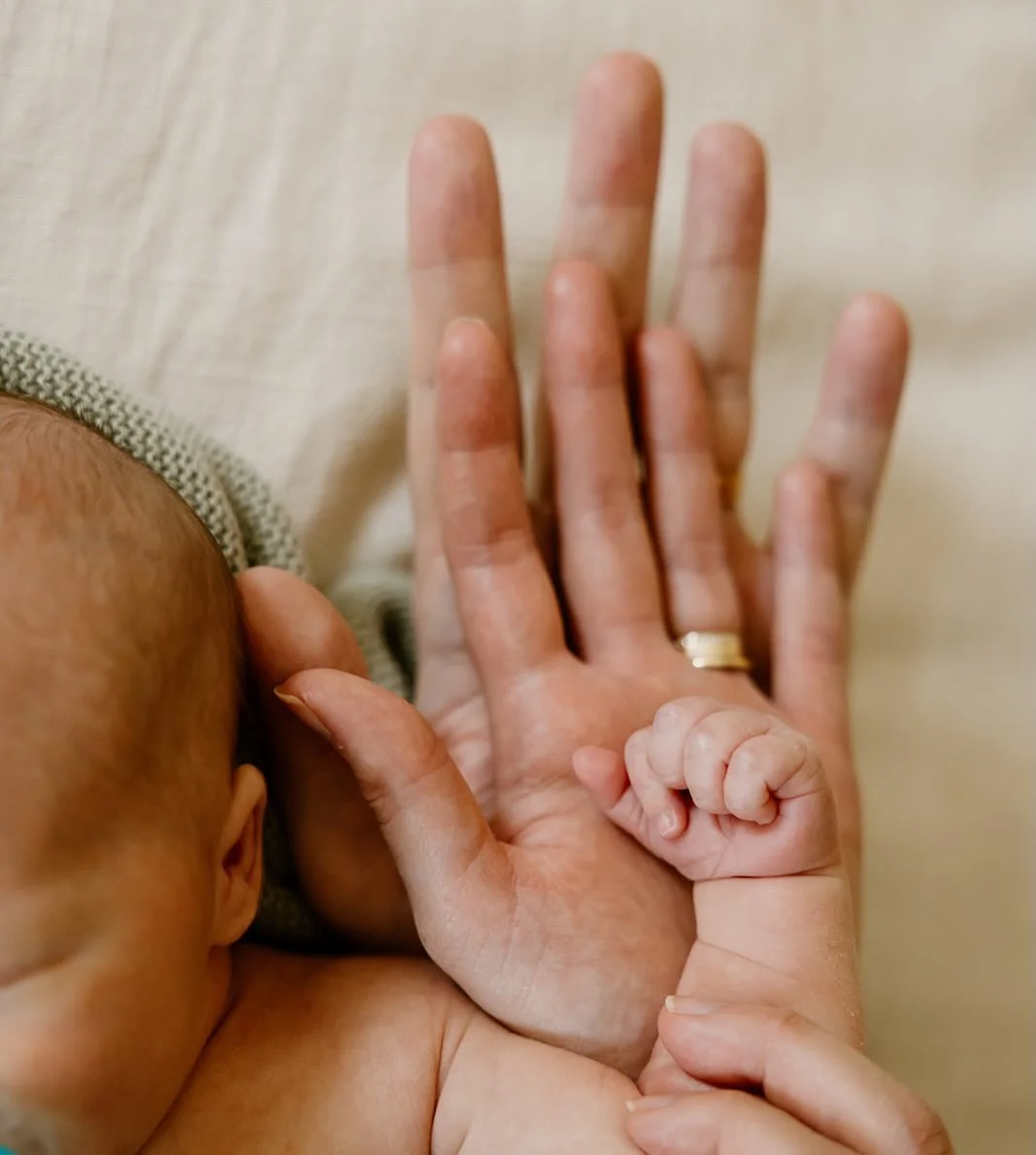 Sweet Henry!! How precious this family is and what a BEAUTIFUL nursery. If anyone is ever in need of newborn photography without leaving your home, let me come to you!! 😊

#newbornphotography #familyphotography #nurseryinspo