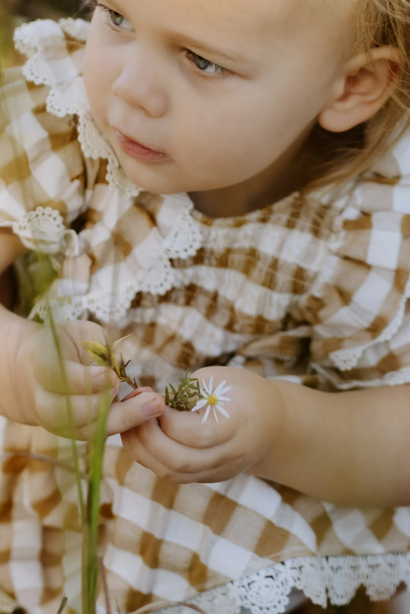 Mom holds her daughter and a wildflower stem in soft fall light as the little girl glances at the camera