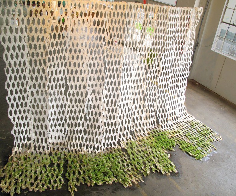 Sprout screen 4.jpg