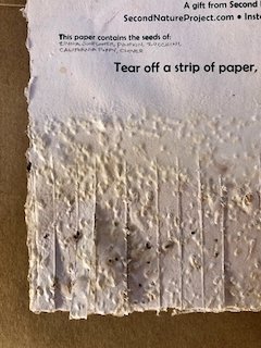 Seed Poster - 32 of 64.jpeg