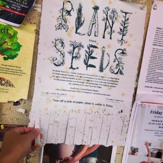 Seed Poster - 8 of 64.jpeg