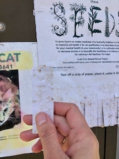 Seed Poster - 38 of 64.jpeg