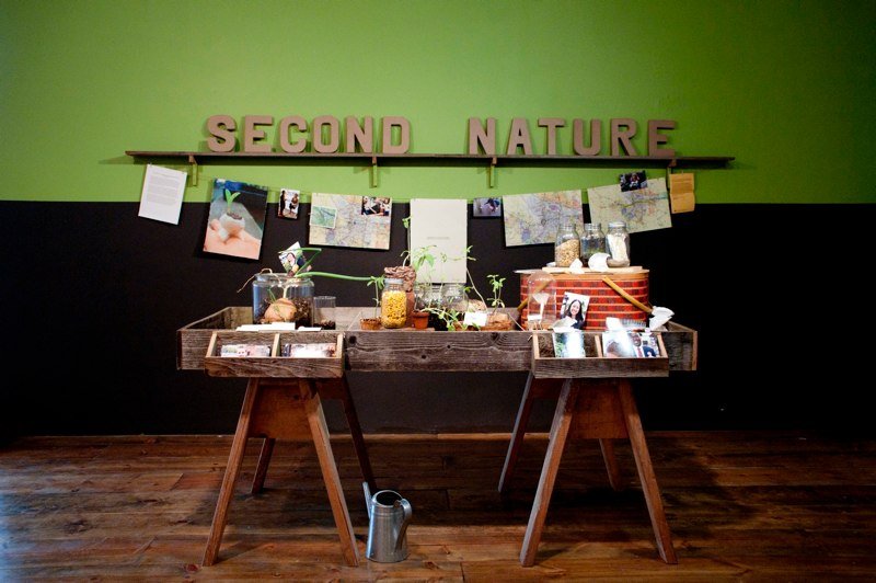 PRACTICUM EXHIBITION
The intention of this piece was to showcase the newly hatched Second Nature Project. It was part of the 2012 MFA in Applied Craft and Design Practicum Exhibition and the dispersals took place during the opening and closing recep