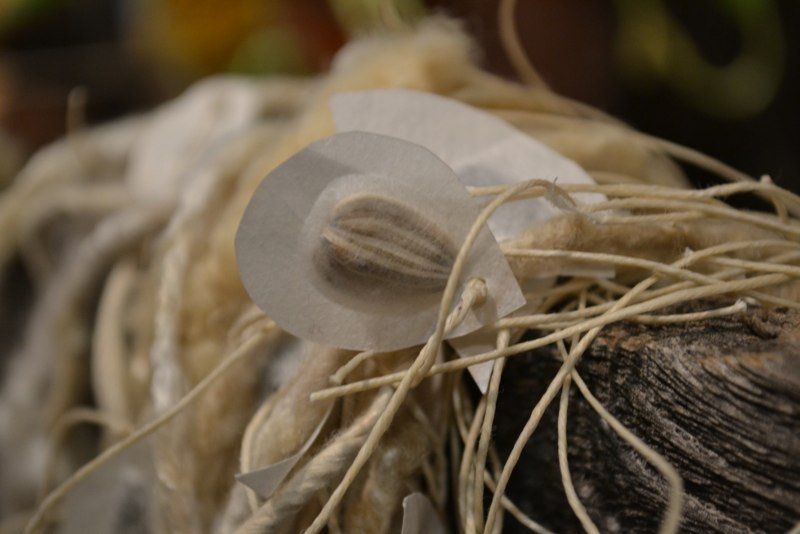 Necklace Detail 3.jpg