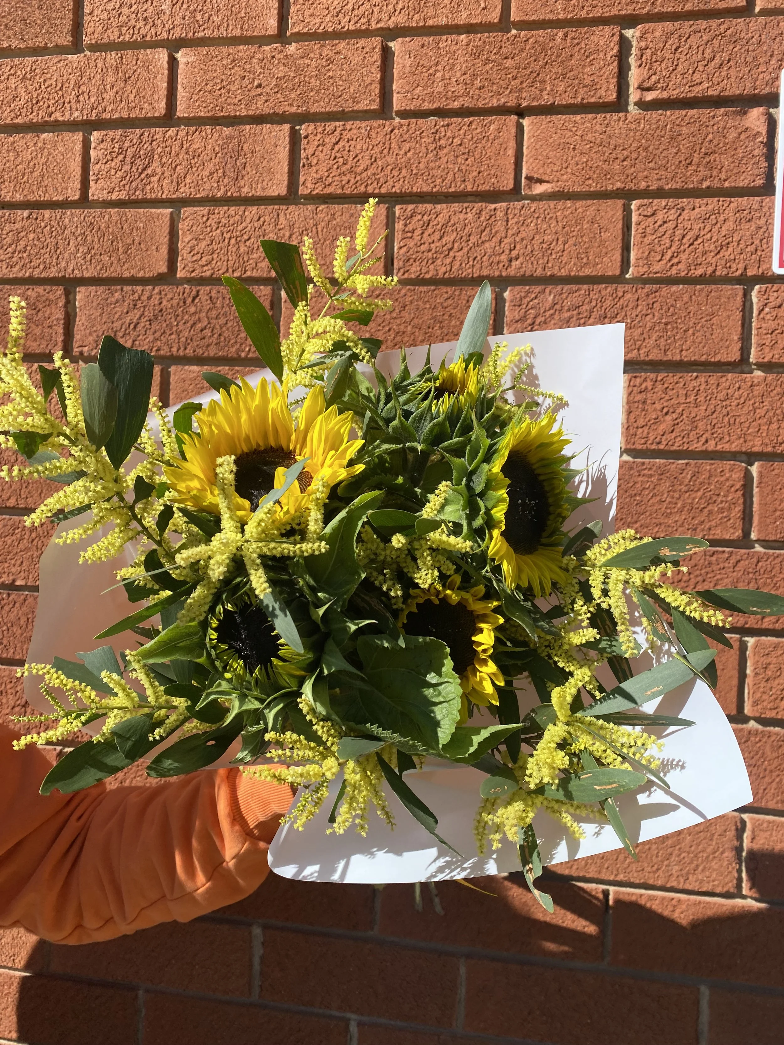 Sunflower Samson