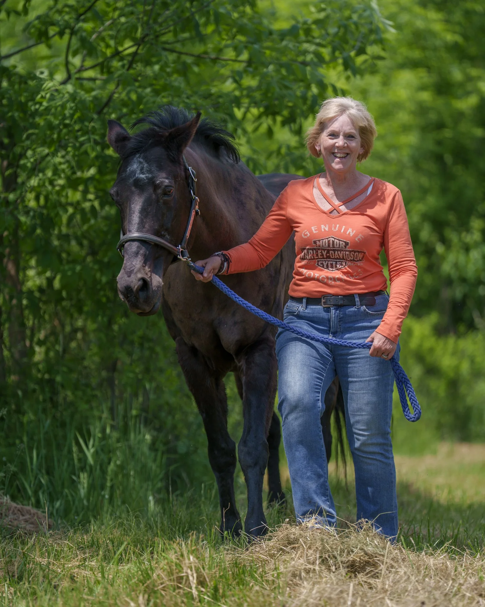 equine photograph - niagara
