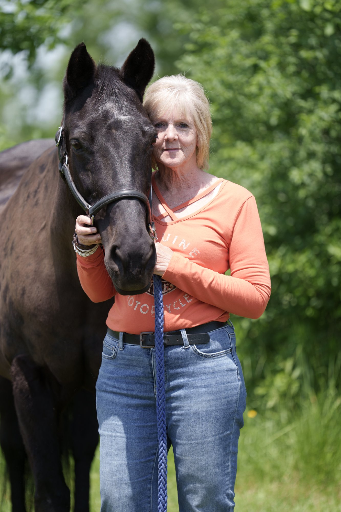 horse photograph