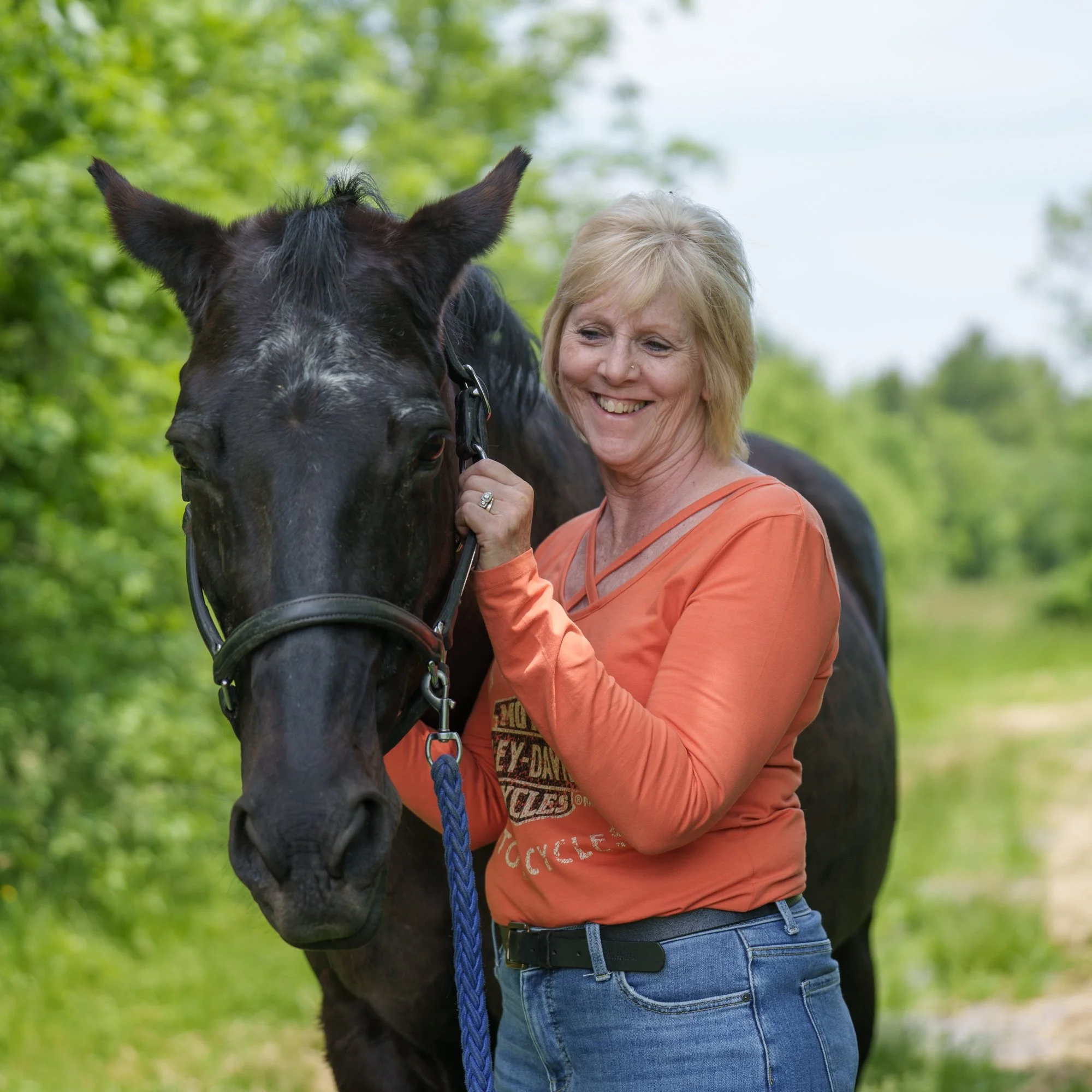 horse photograph niagara