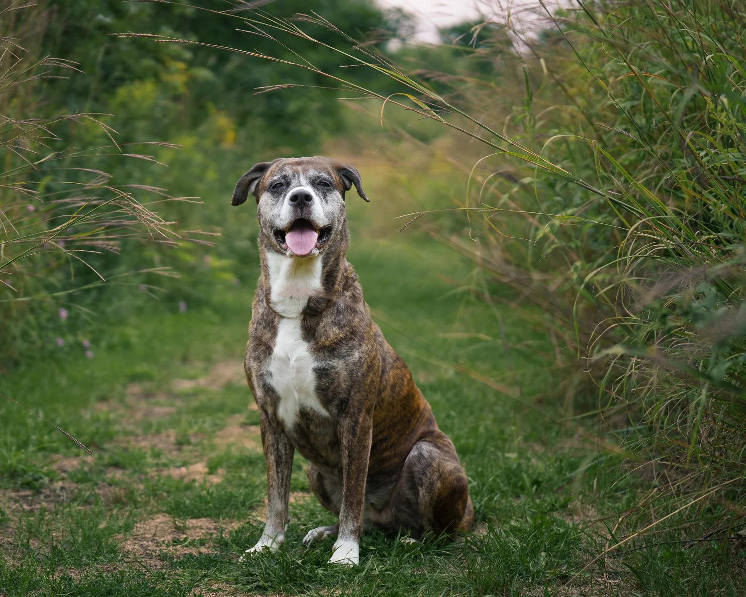 You Never Know How Much Time You Have: Why Waiting for “Later” Can Mean Missing Everything