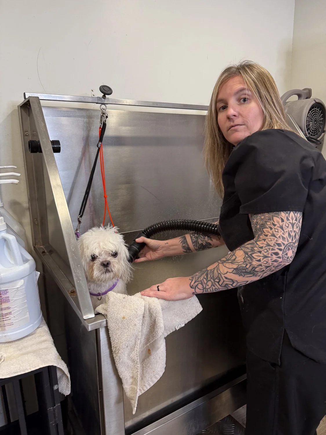 port-colborne-groomer-dog-bath.jpg