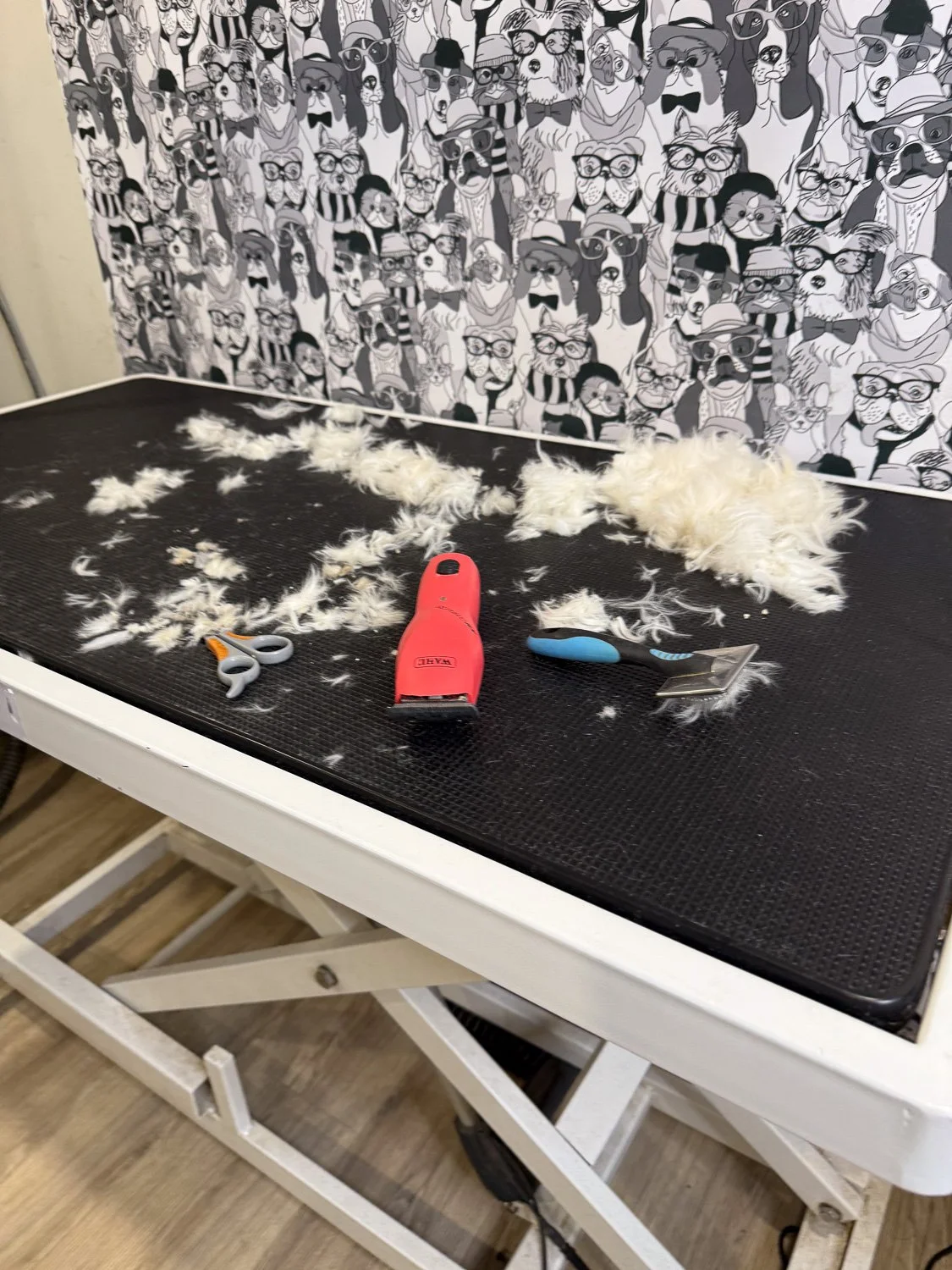 Spotlight: Niagara Dog Businesses