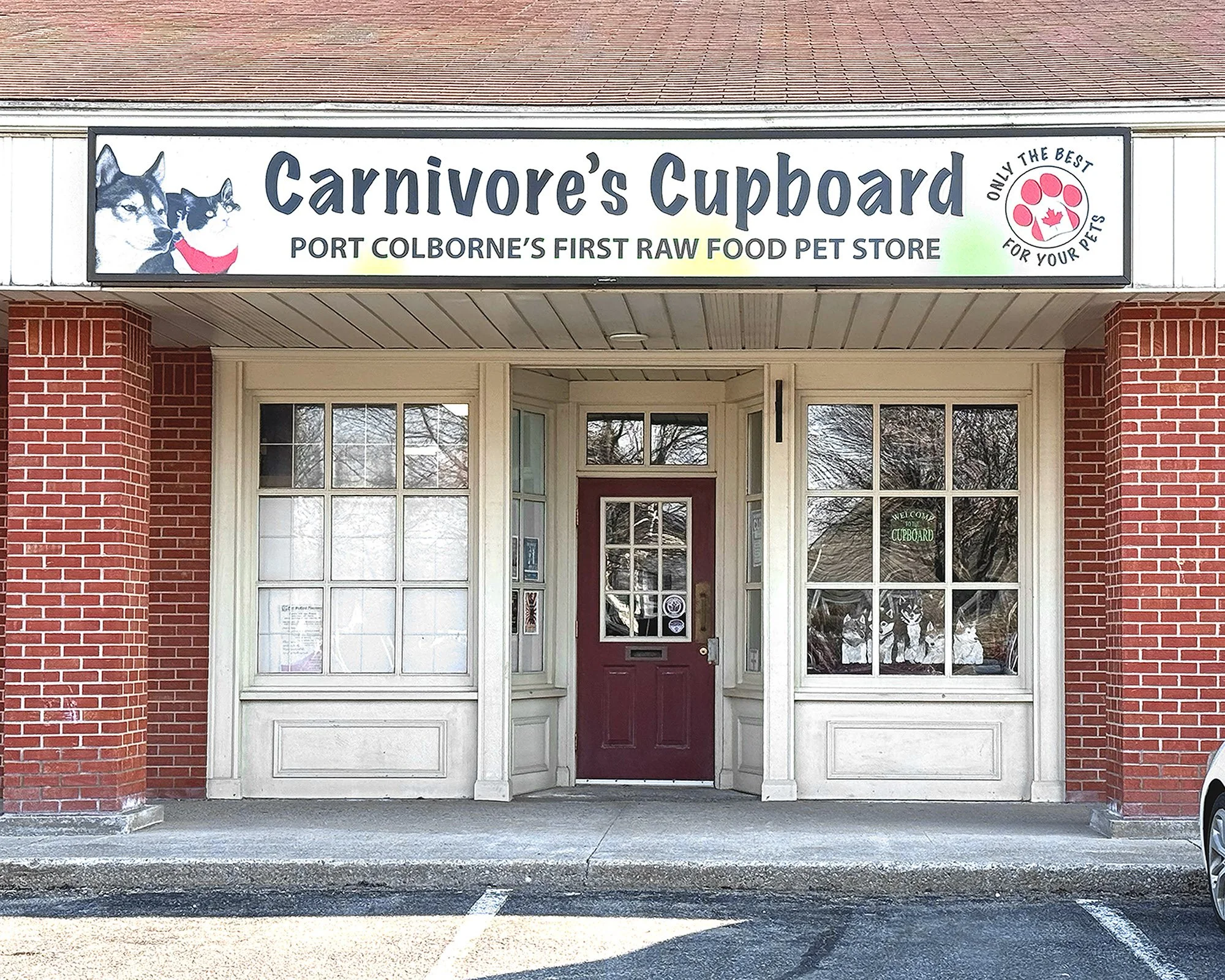 🐾 Nourishing Dogs Naturally: A Conversation with a Local Raw Food Consultant