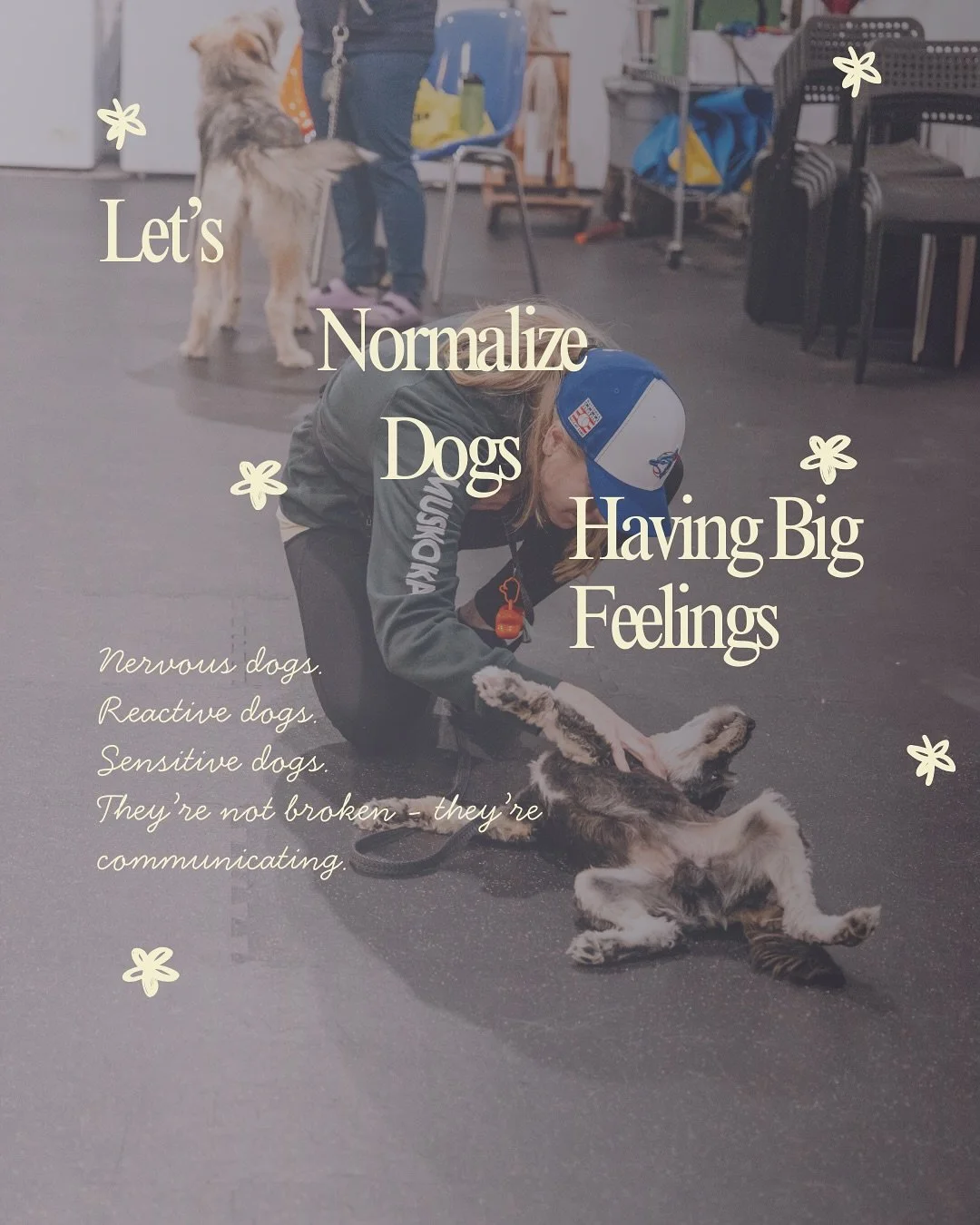 normalize-dog-big-feelings-niagara.jpg