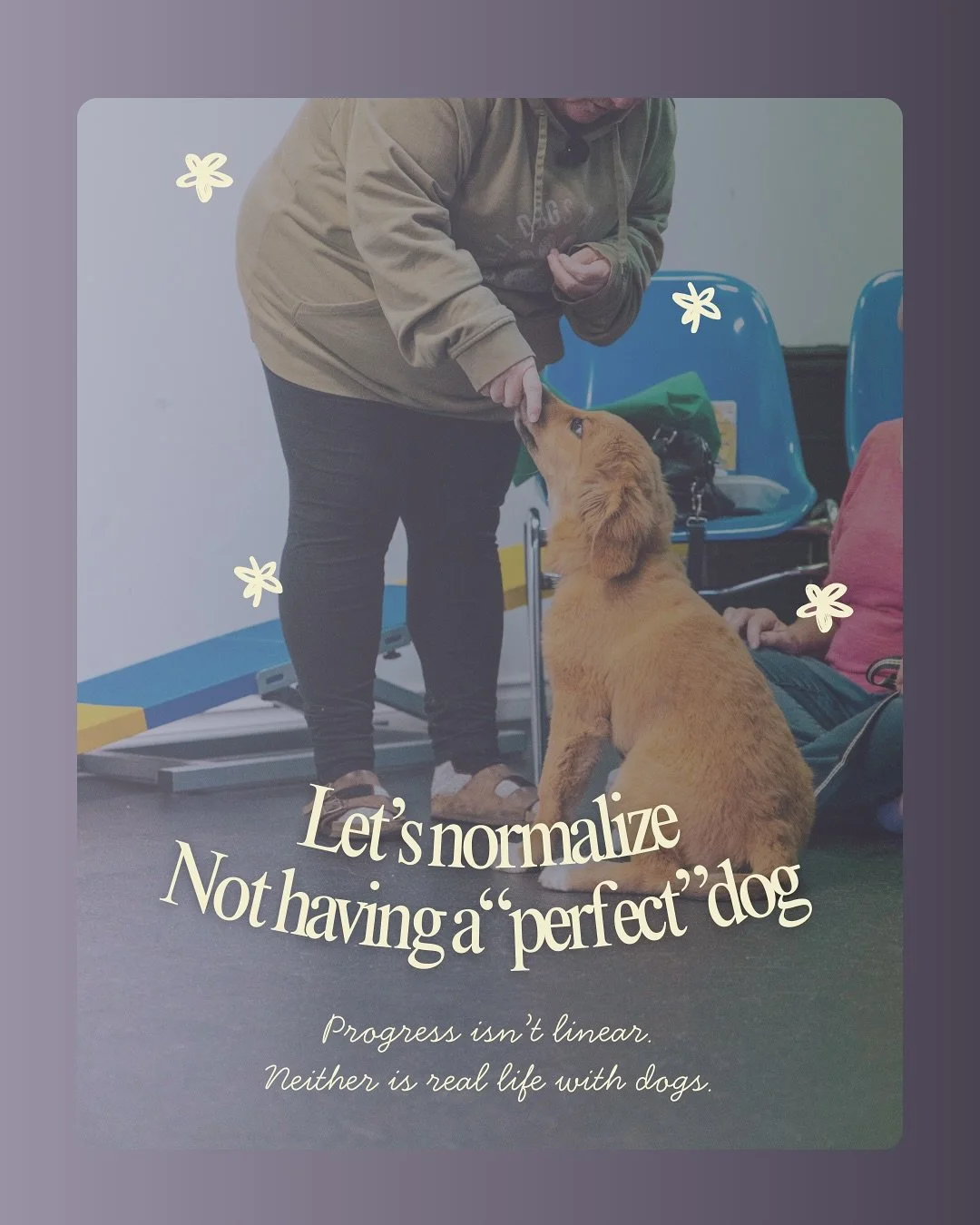 normalize-perfect -dog-niagara.jpg
