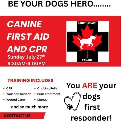 dog-training-cpr-welland.jpg