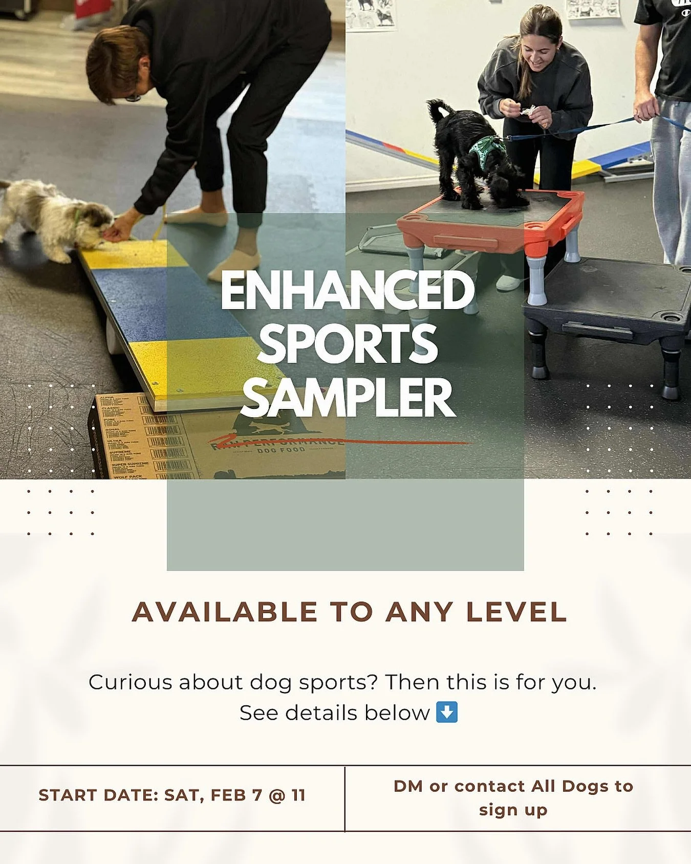 dog-training-sports-sampler.jpg