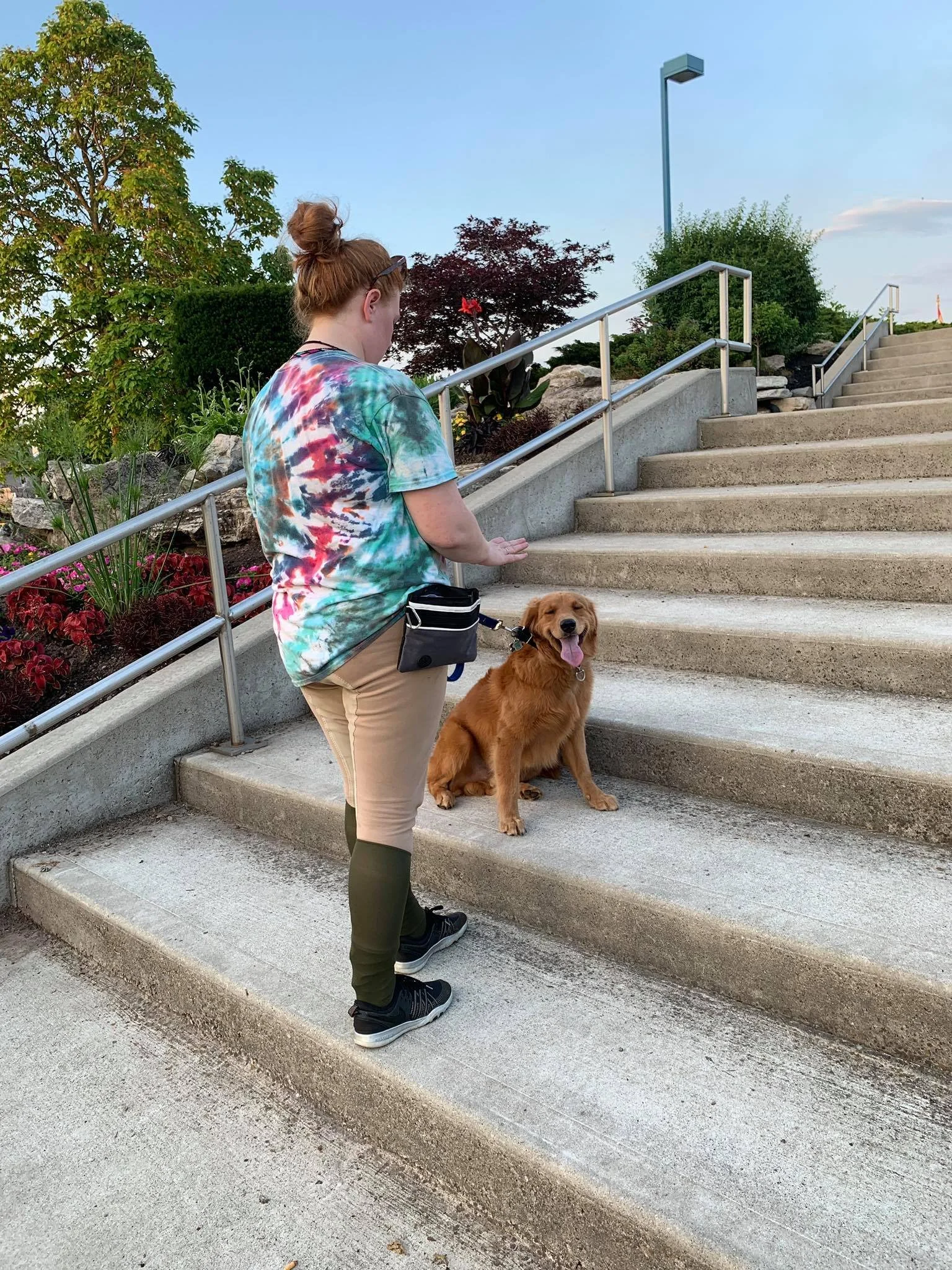 dog-mind-training-port-colborne-niagara.jpg